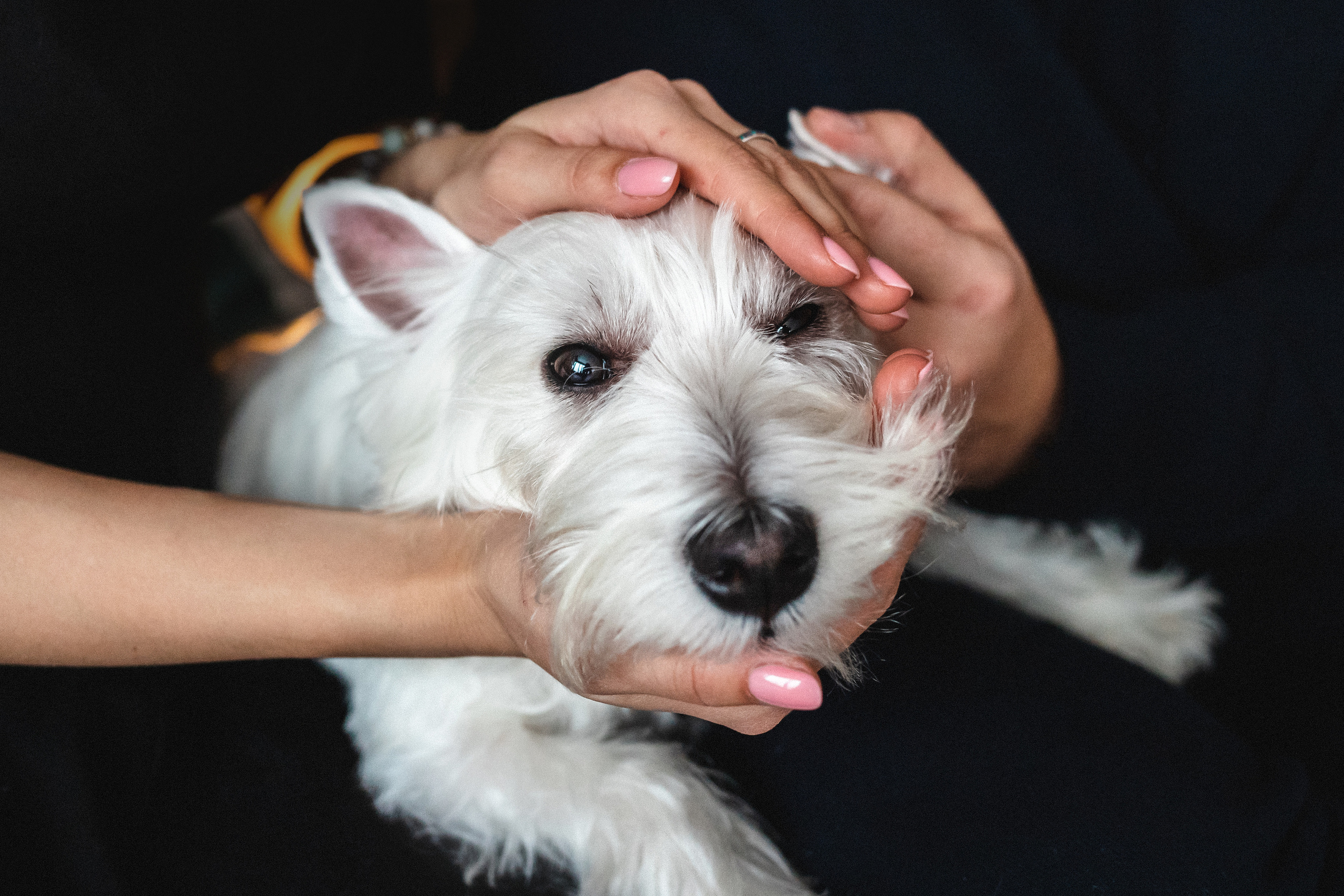 Фотосессия с Семеном и Винни