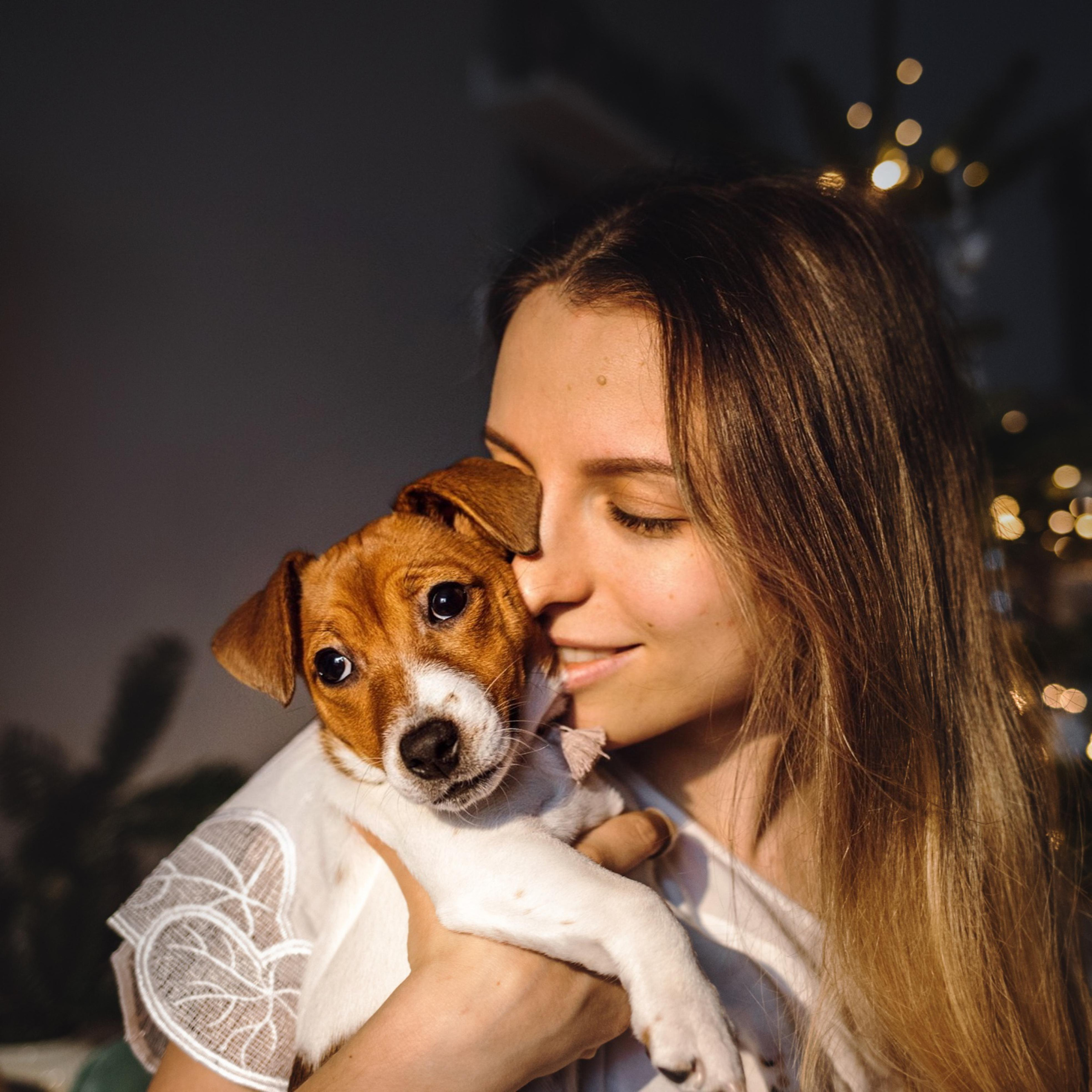 Новогодняя домашняя фотосессия с собакой