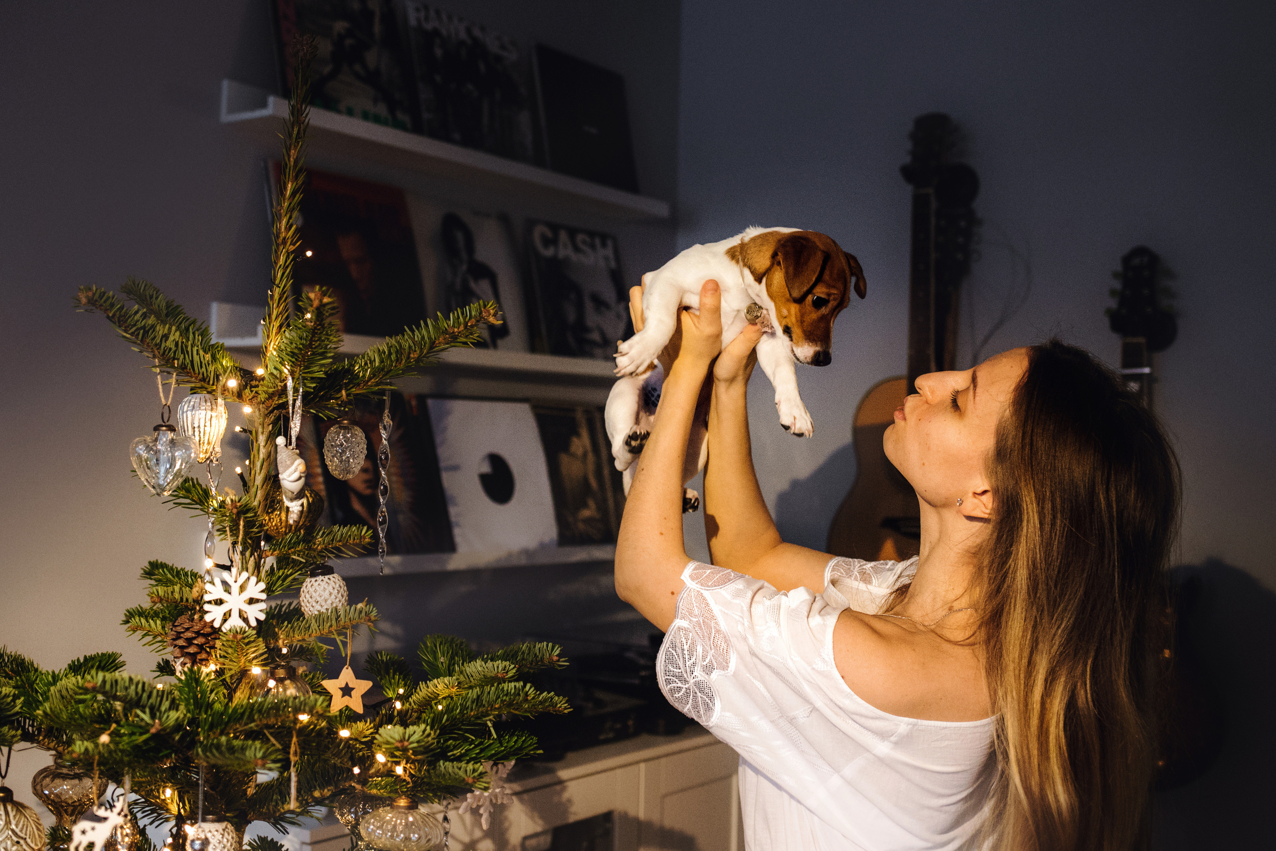 Новогодняя домашняя фотосессия с собакой