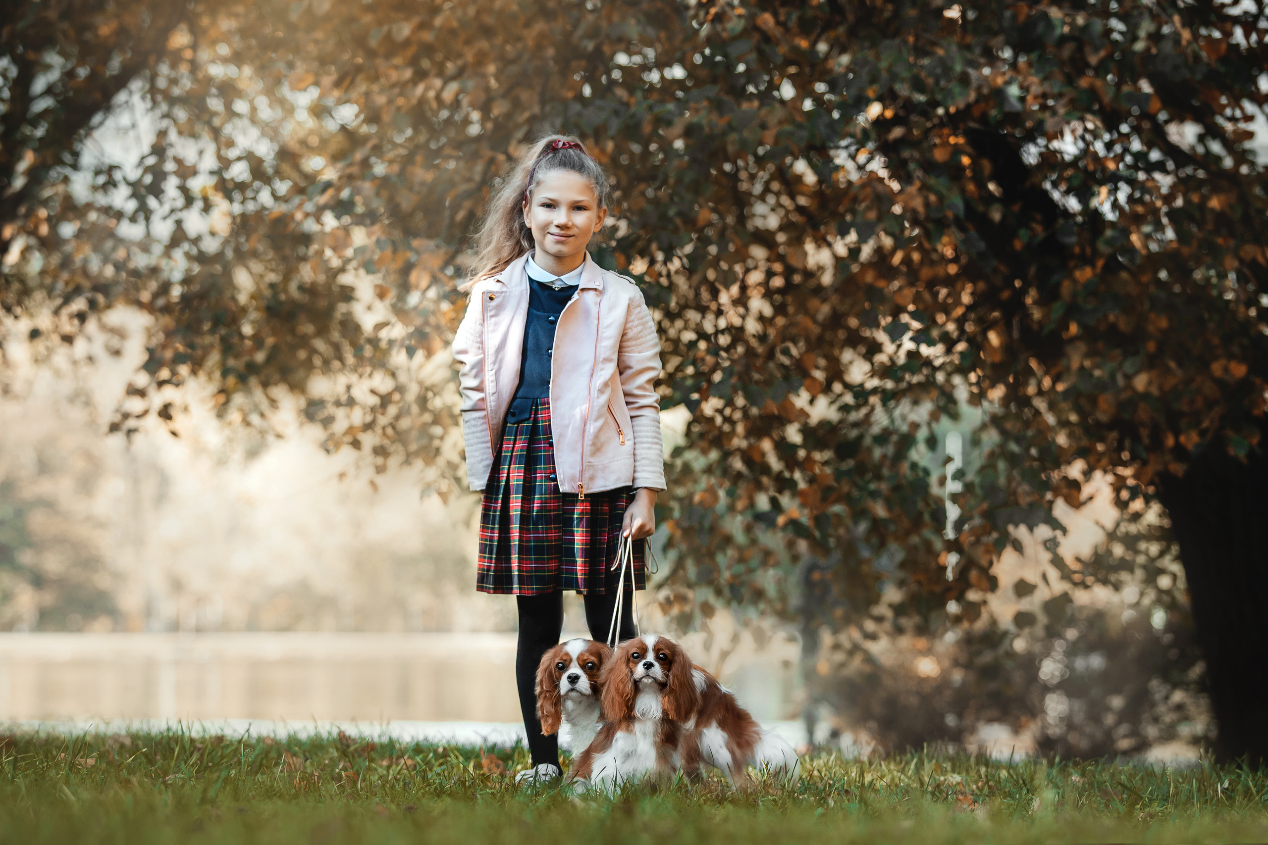 Фотосессия кавалер-кинг-чарльз-спаниелями