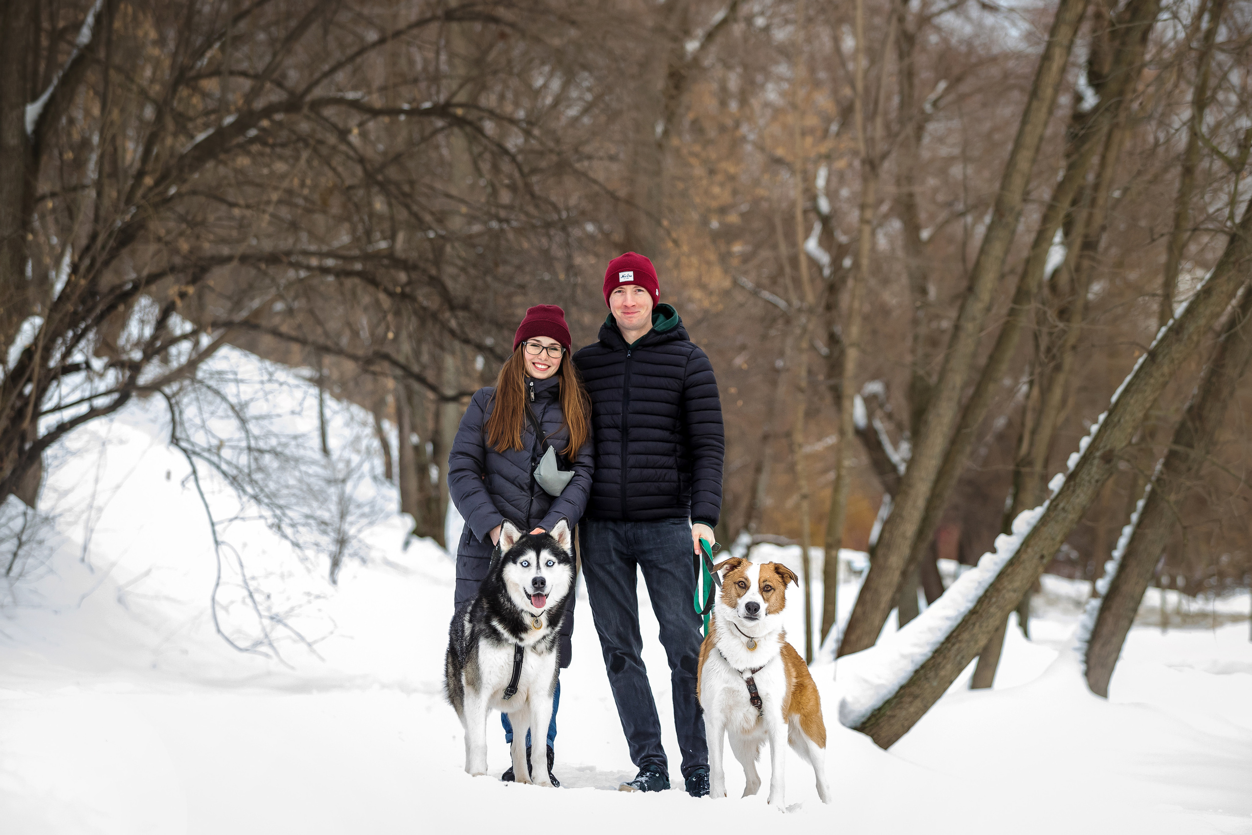 Зимняя фотосессия с собакой