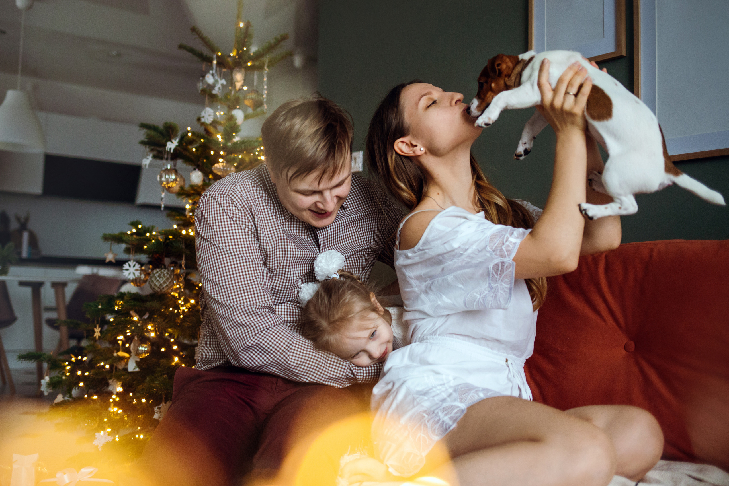 Новогодняя домашняя фотосессия с собакой