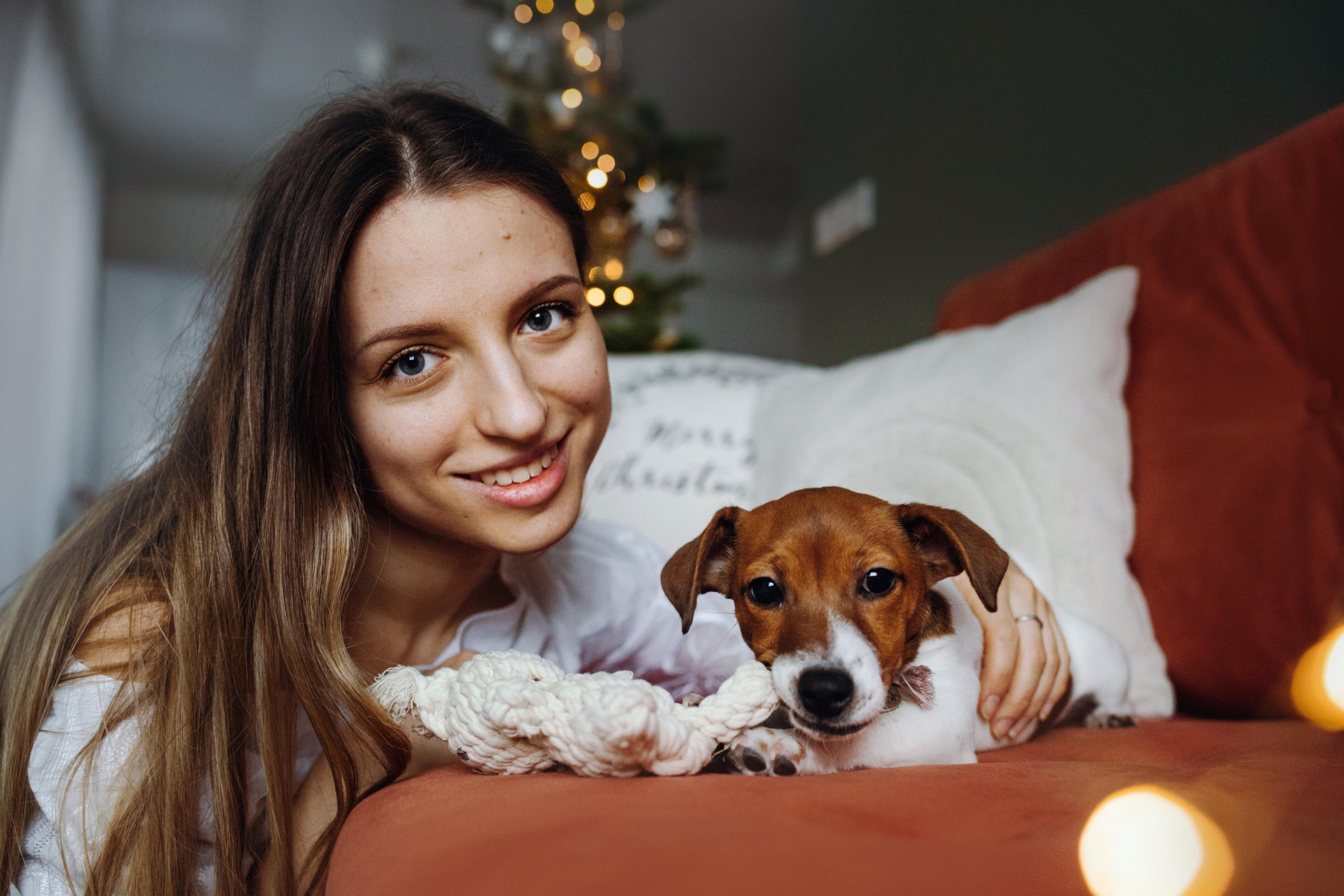 Новогодняя домашняя фотосессия с собакой