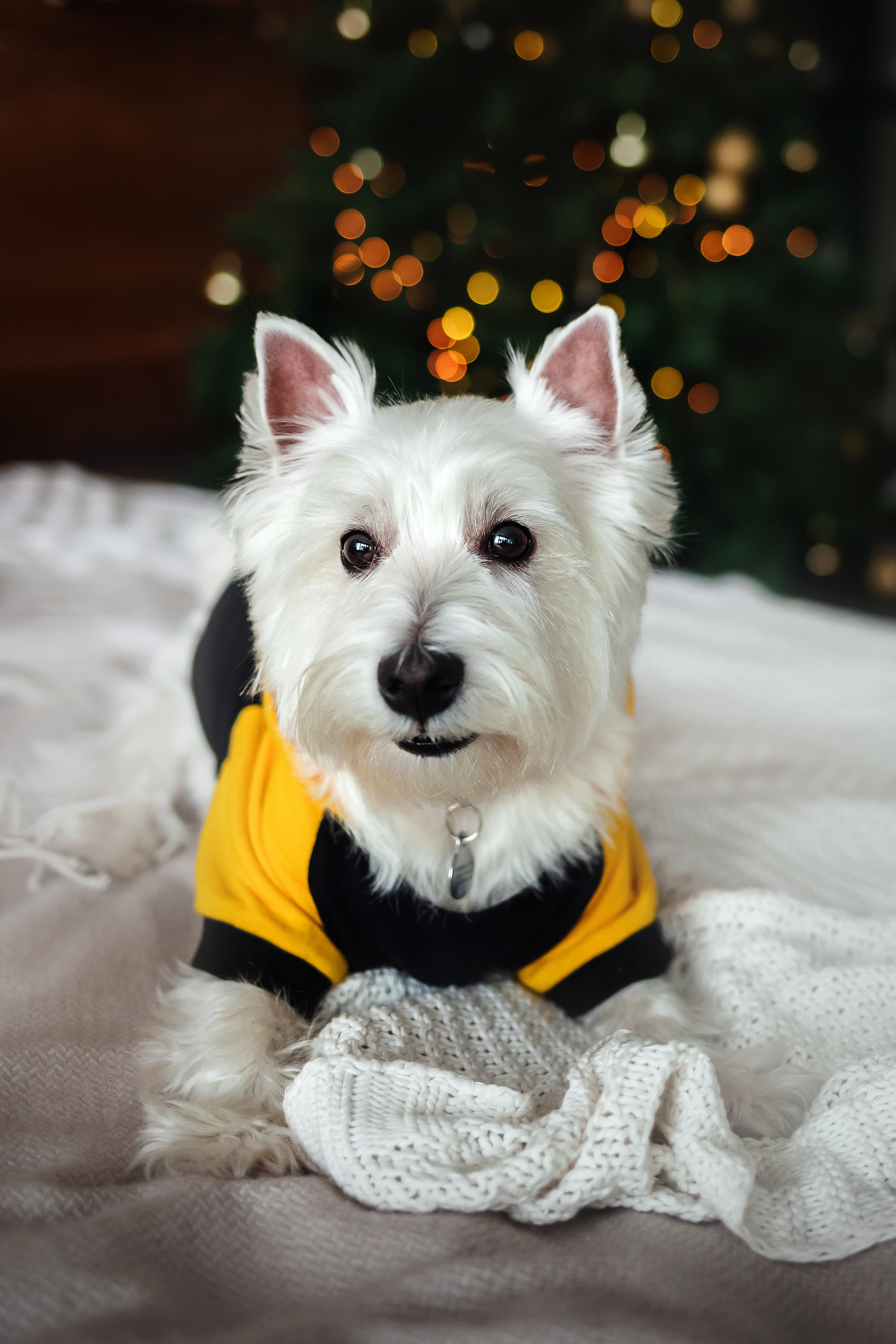 Фотосессия с Семеном и Винни