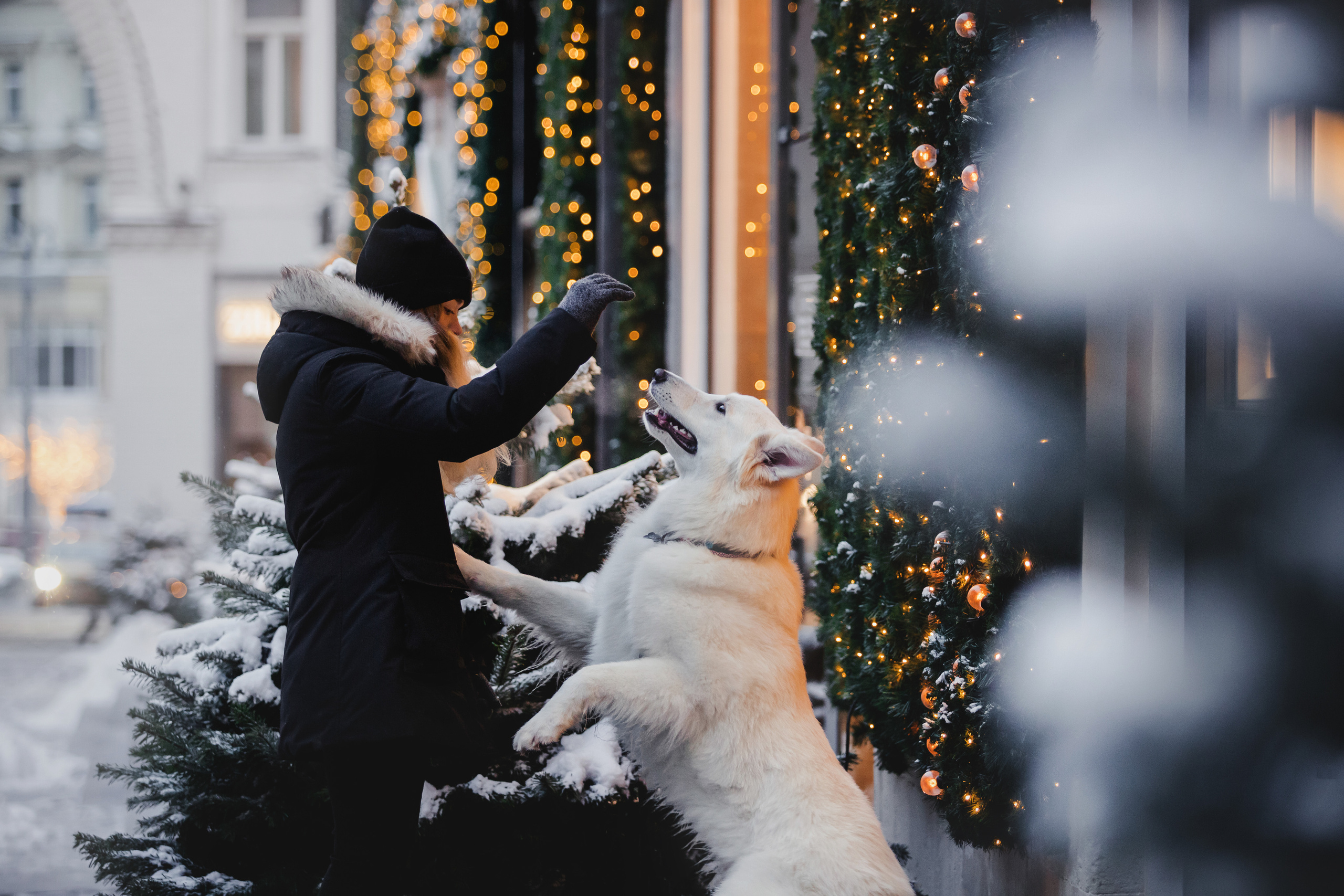 Света, Юля и Олаф