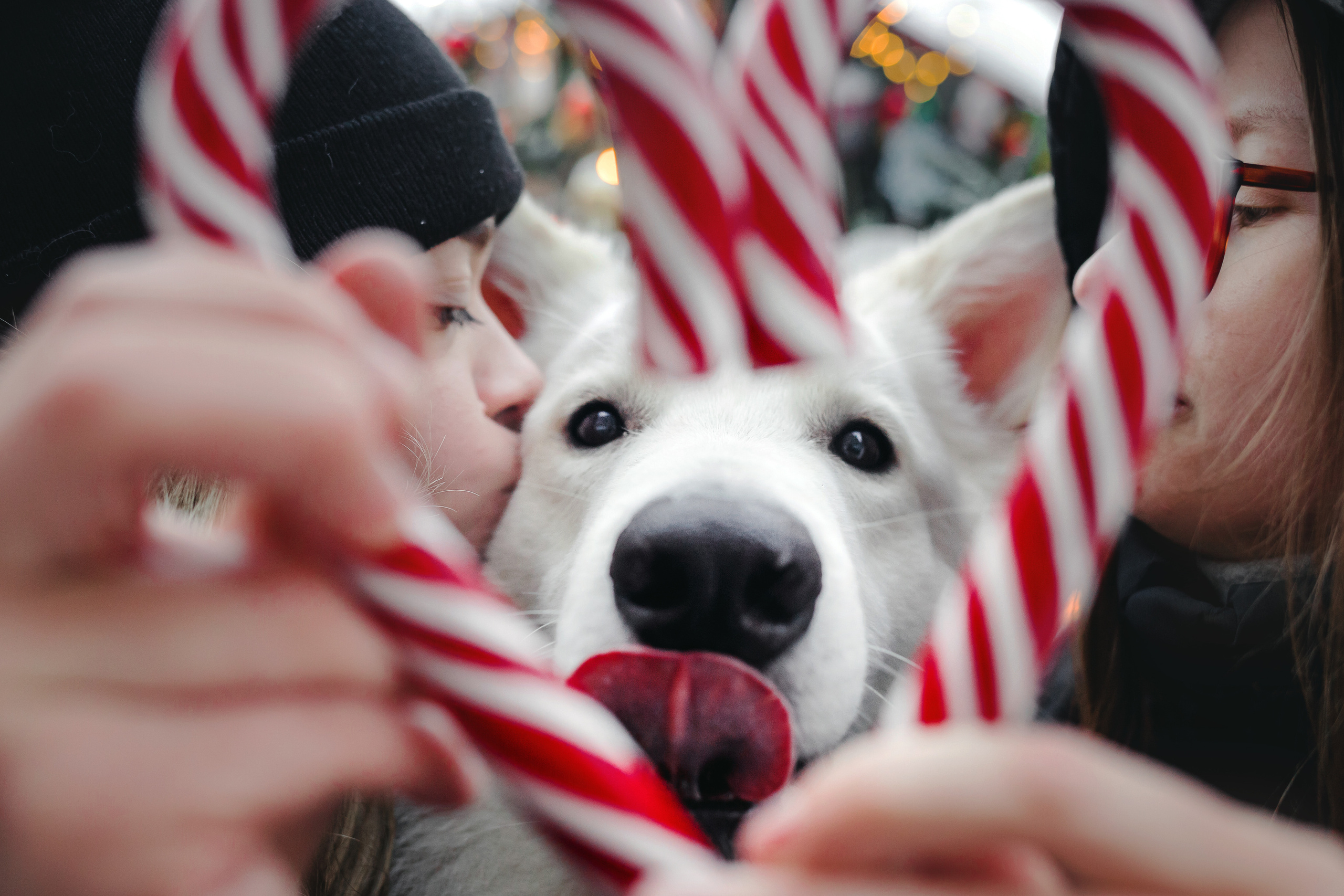 Света, Юля и Олаф