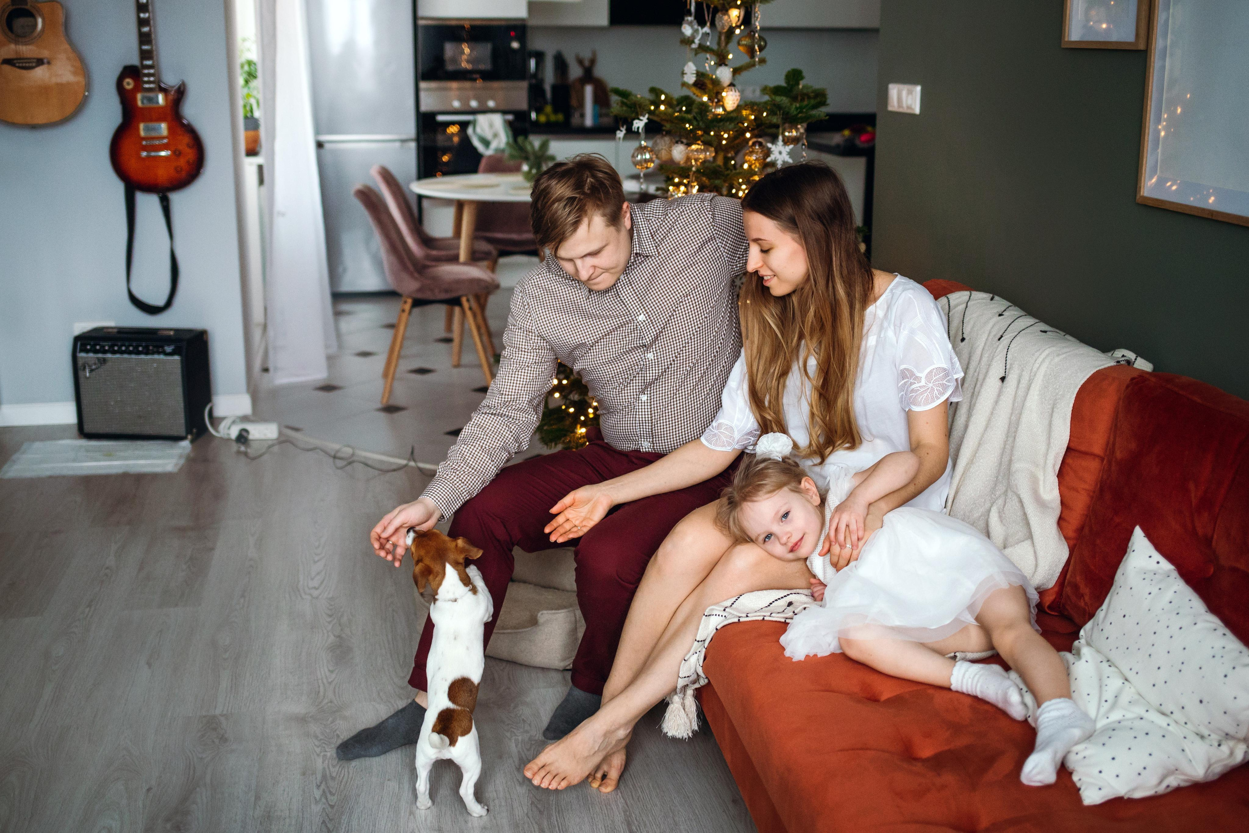 Новогодняя домашняя фотосессия с собакой