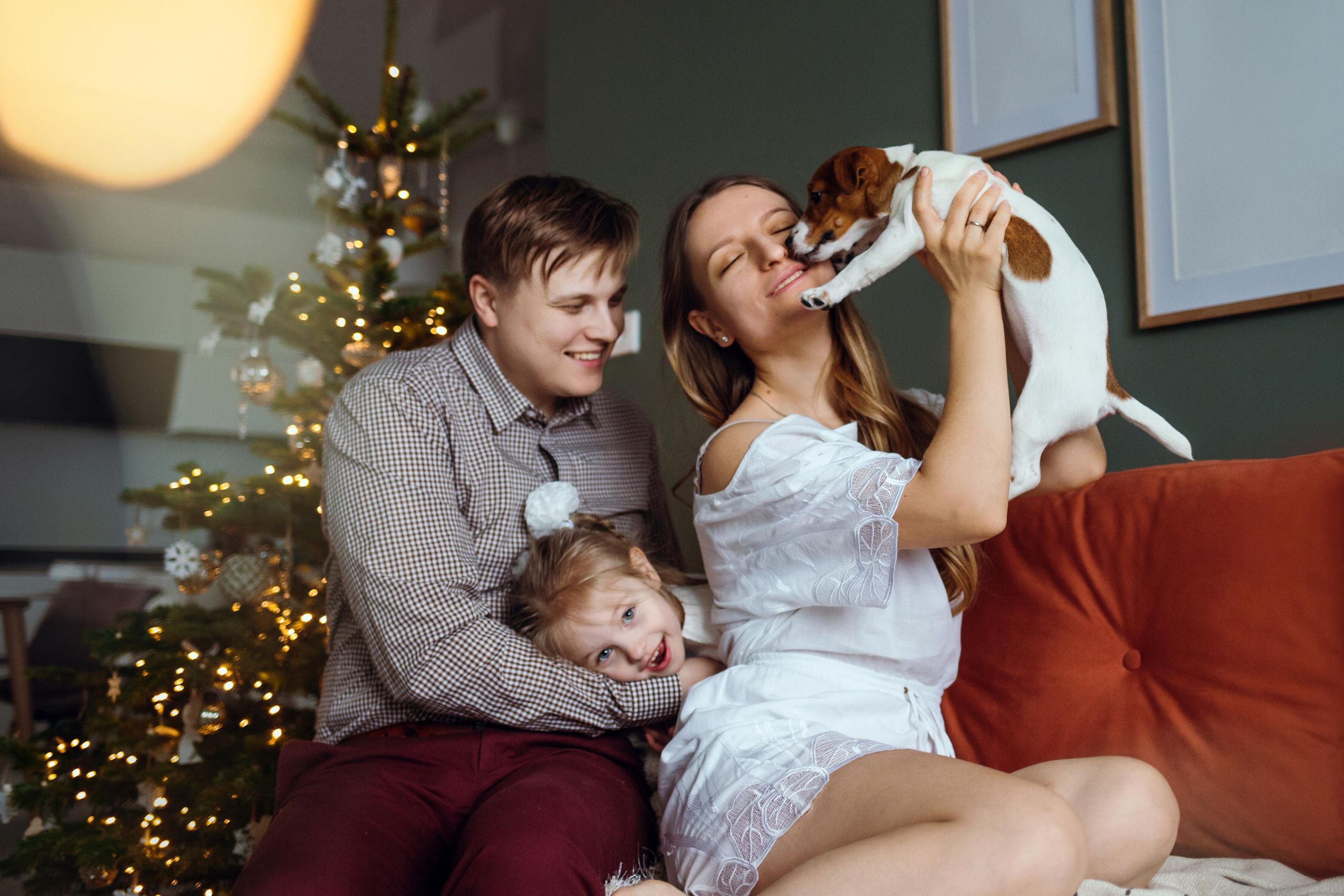 Новогодняя домашняя фотосессия с собакой