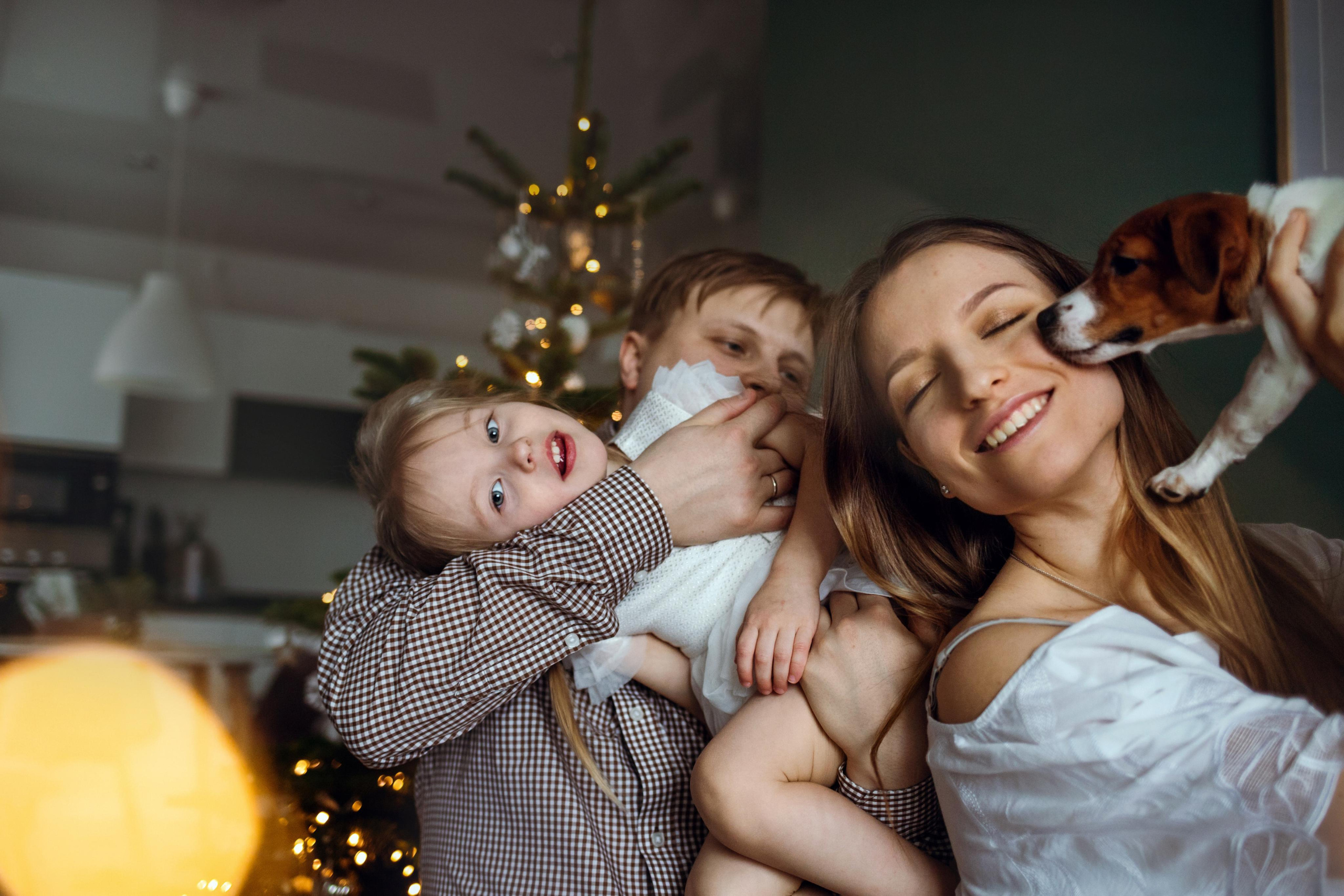 Новогодняя домашняя фотосессия с собакой