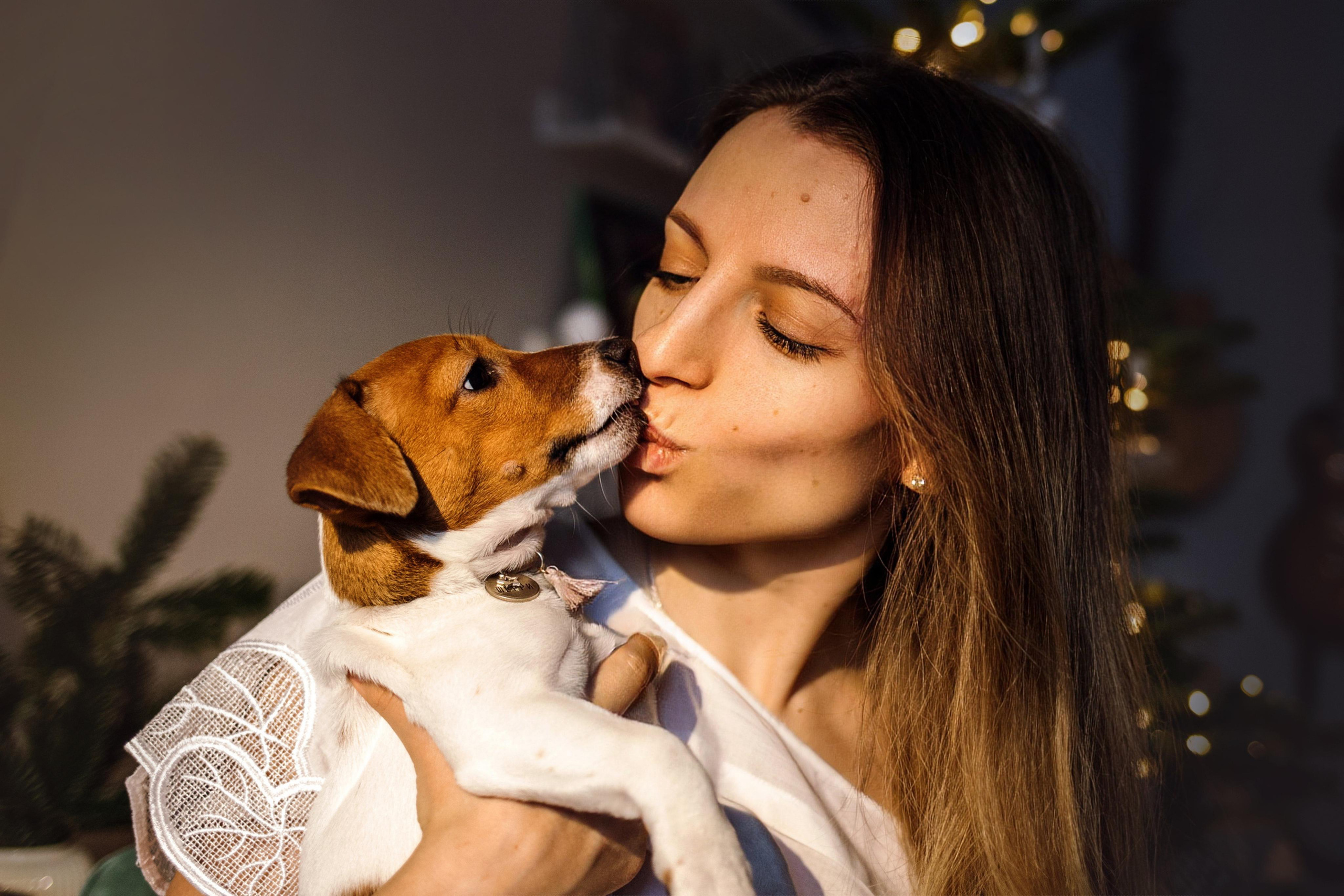 Новогодняя домашняя фотосессия с собакой