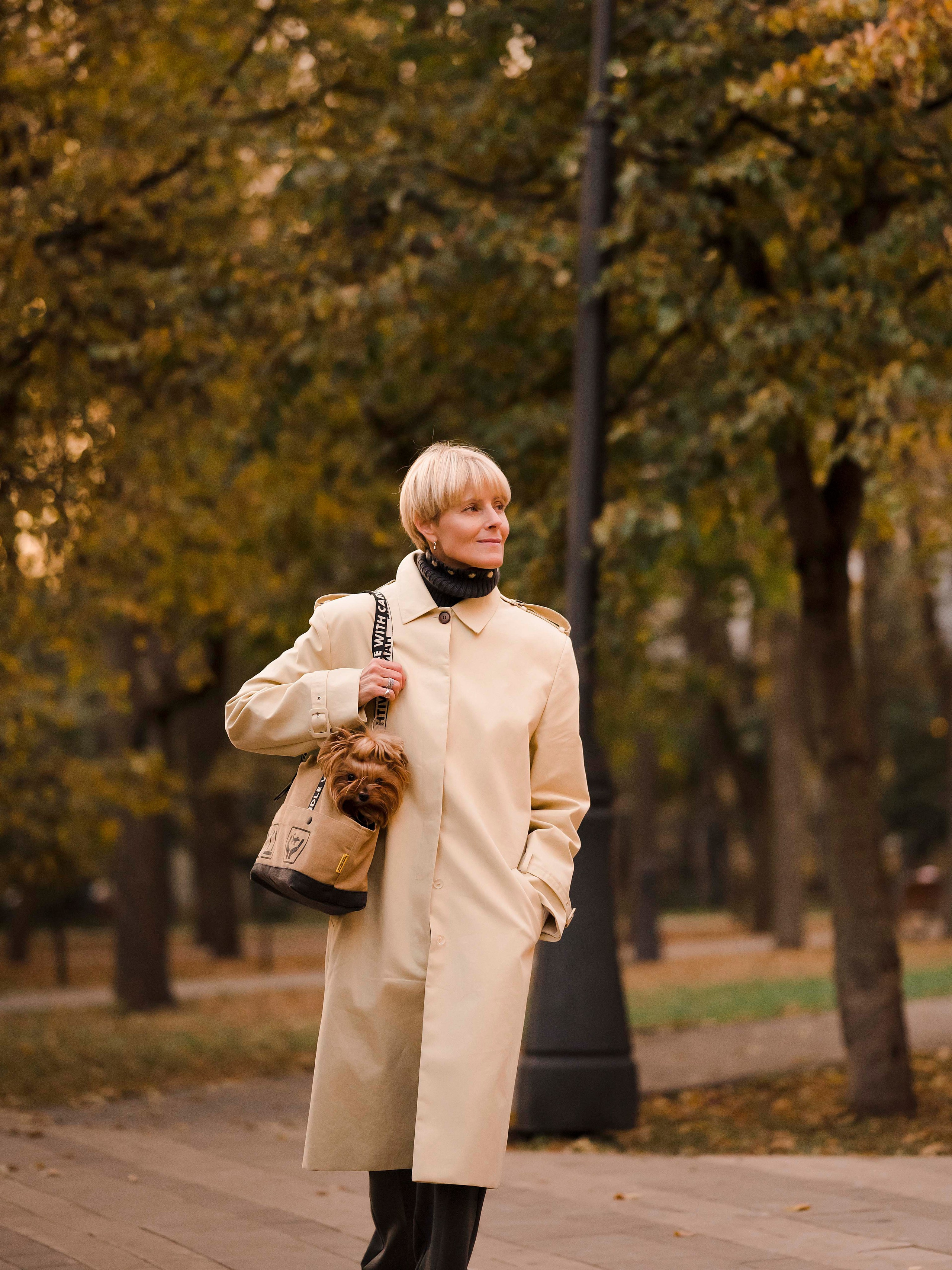 Шарик дог. Фотограф- анималист Александра Матвеева