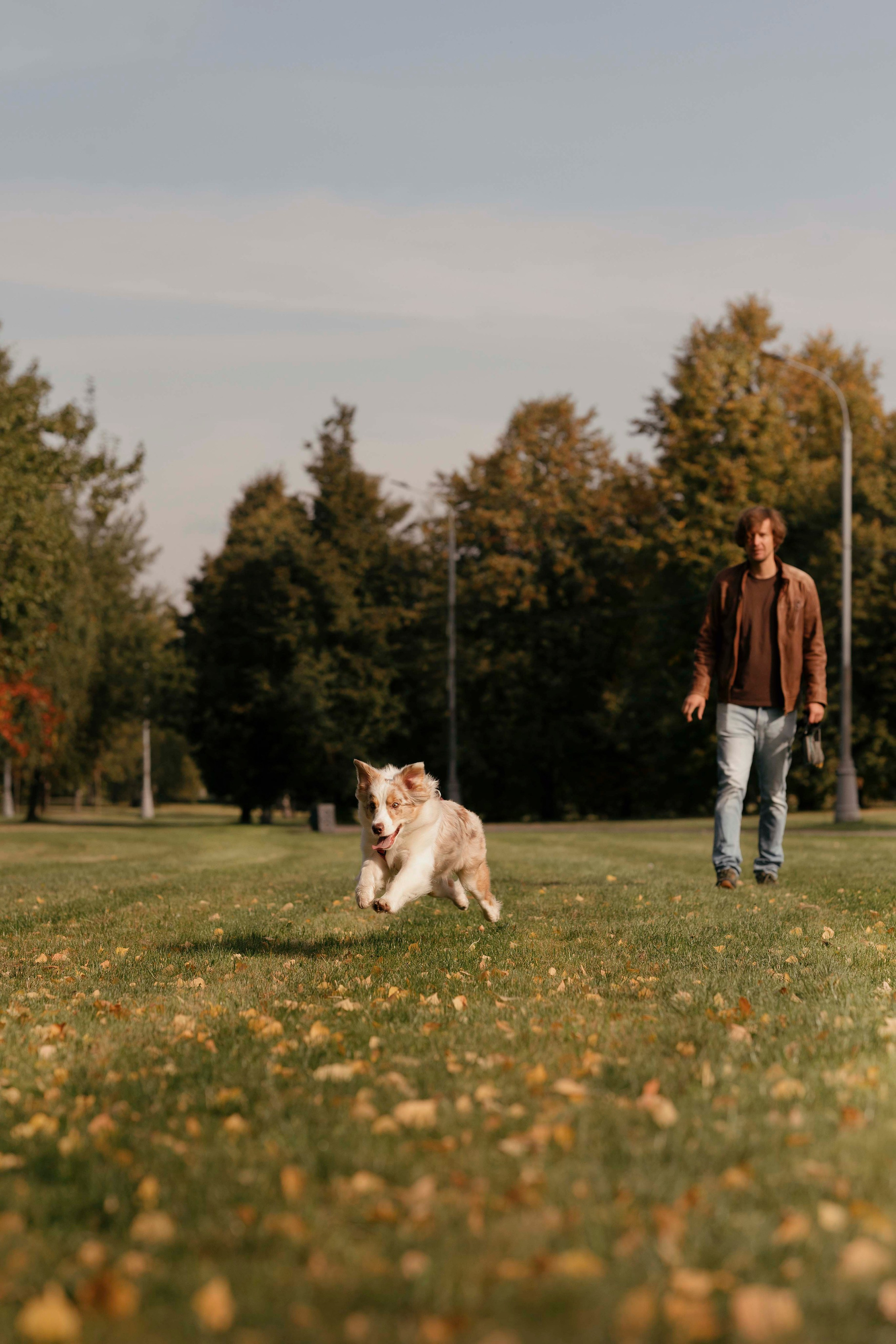 Дженни. Фотограф- анималист Александра Матвеева