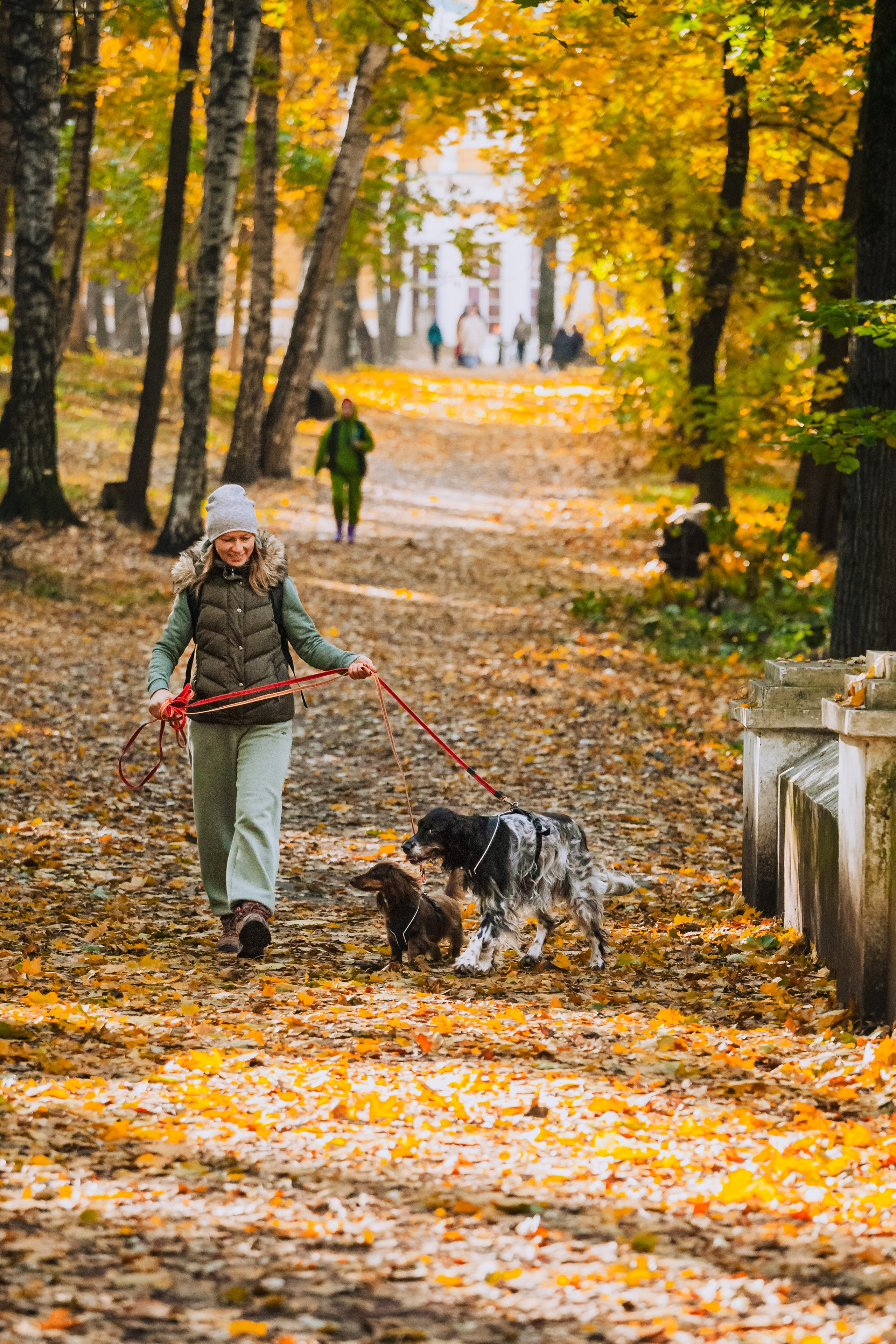 Света, Хайди, Богдана. Фотограф-анималист Татьяна Степанова