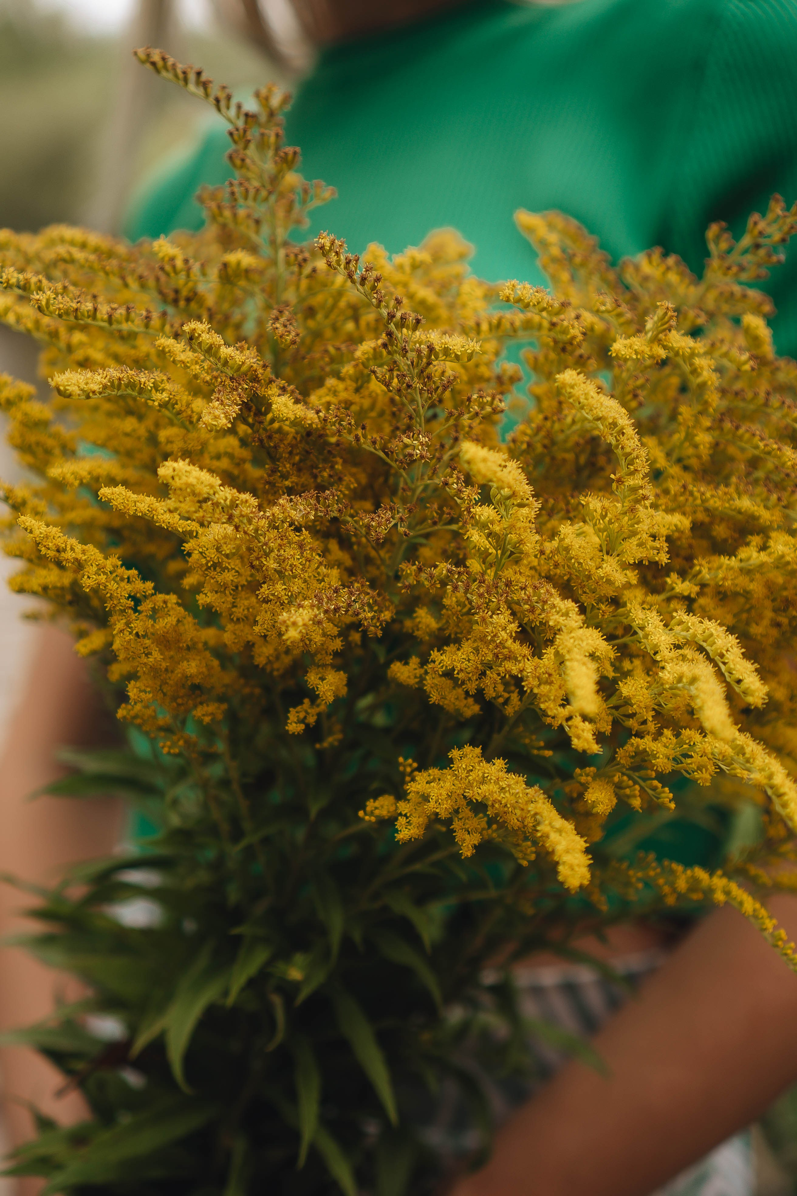 Проогулка под дождем. Профессиональный фотограф, Санкт-Петербург — Виктория Богомолова