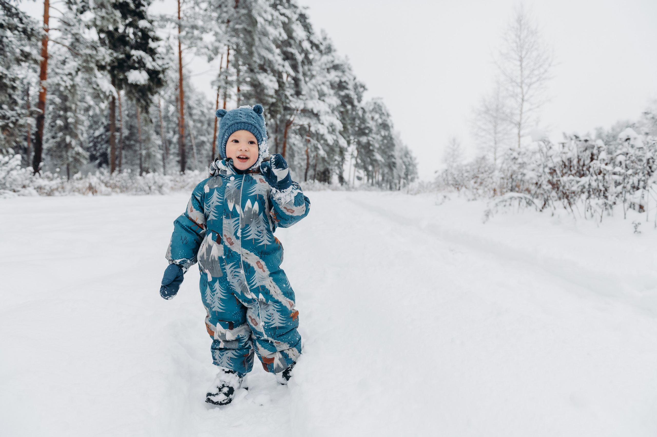 Снежная прогулка. Главная