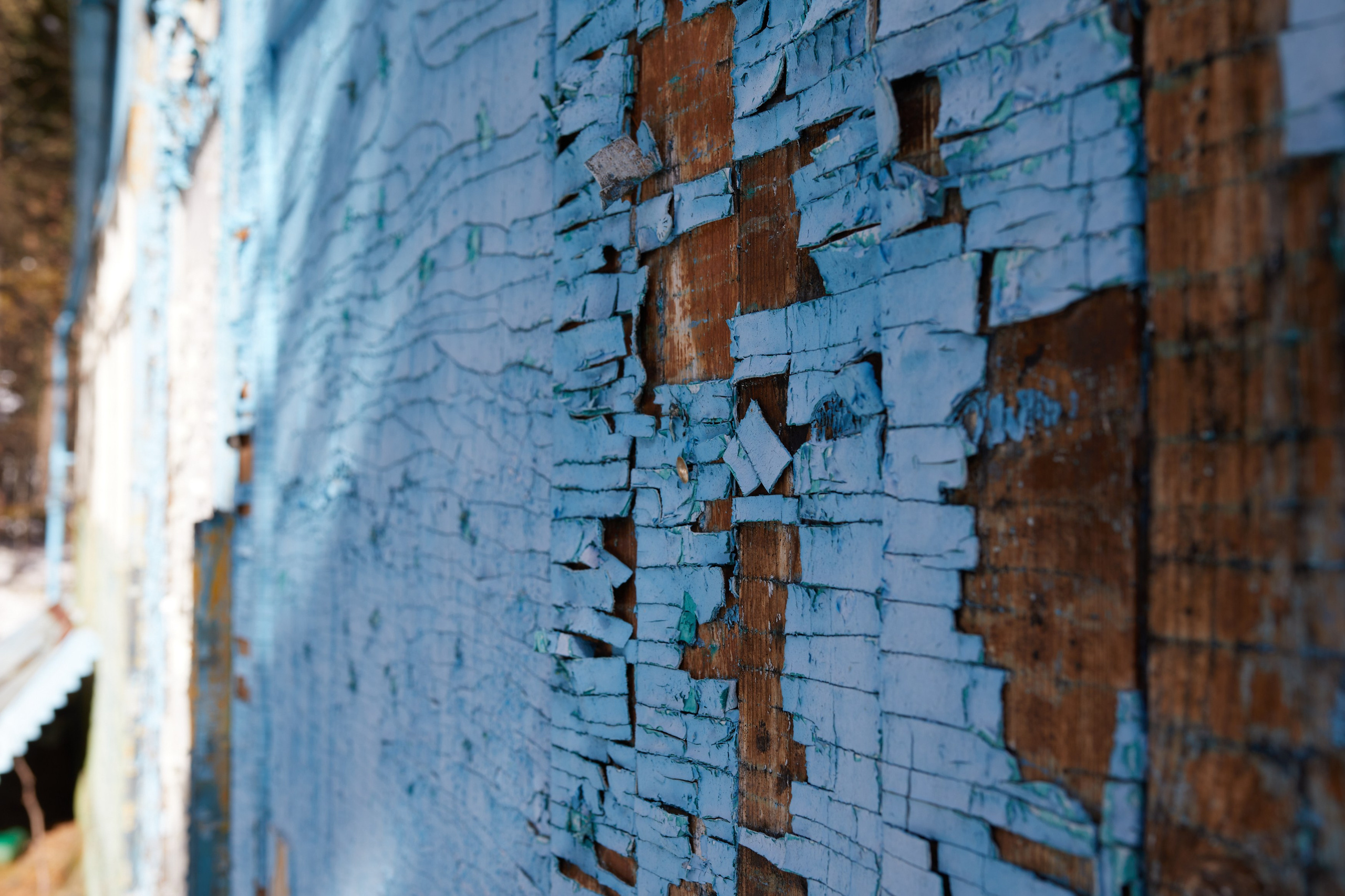 Башиль. Фотограф Продюсер в горах КБР / Москва  Нальчик Горы