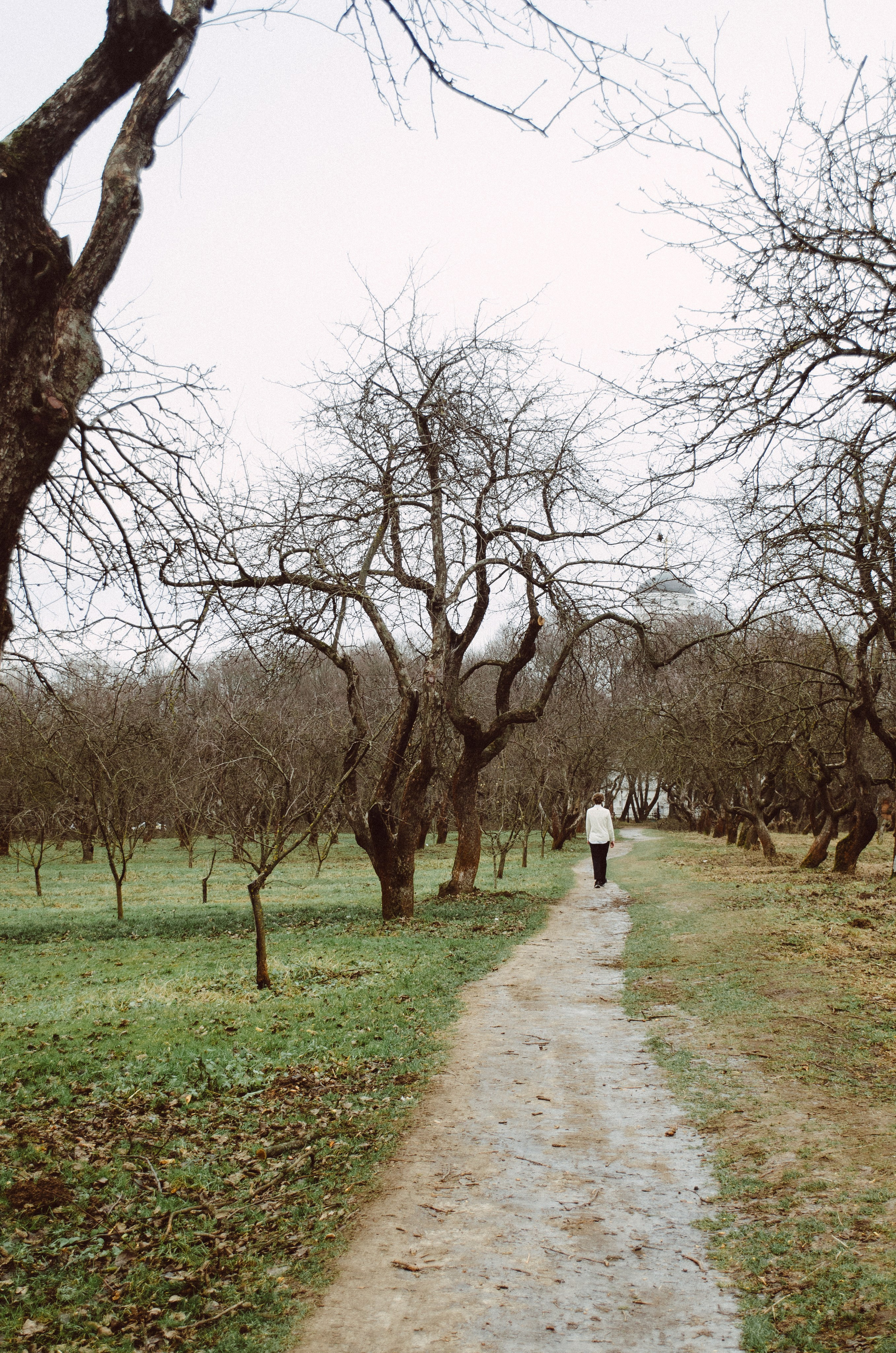 Всеволод. Фотограф Валерия Пэун