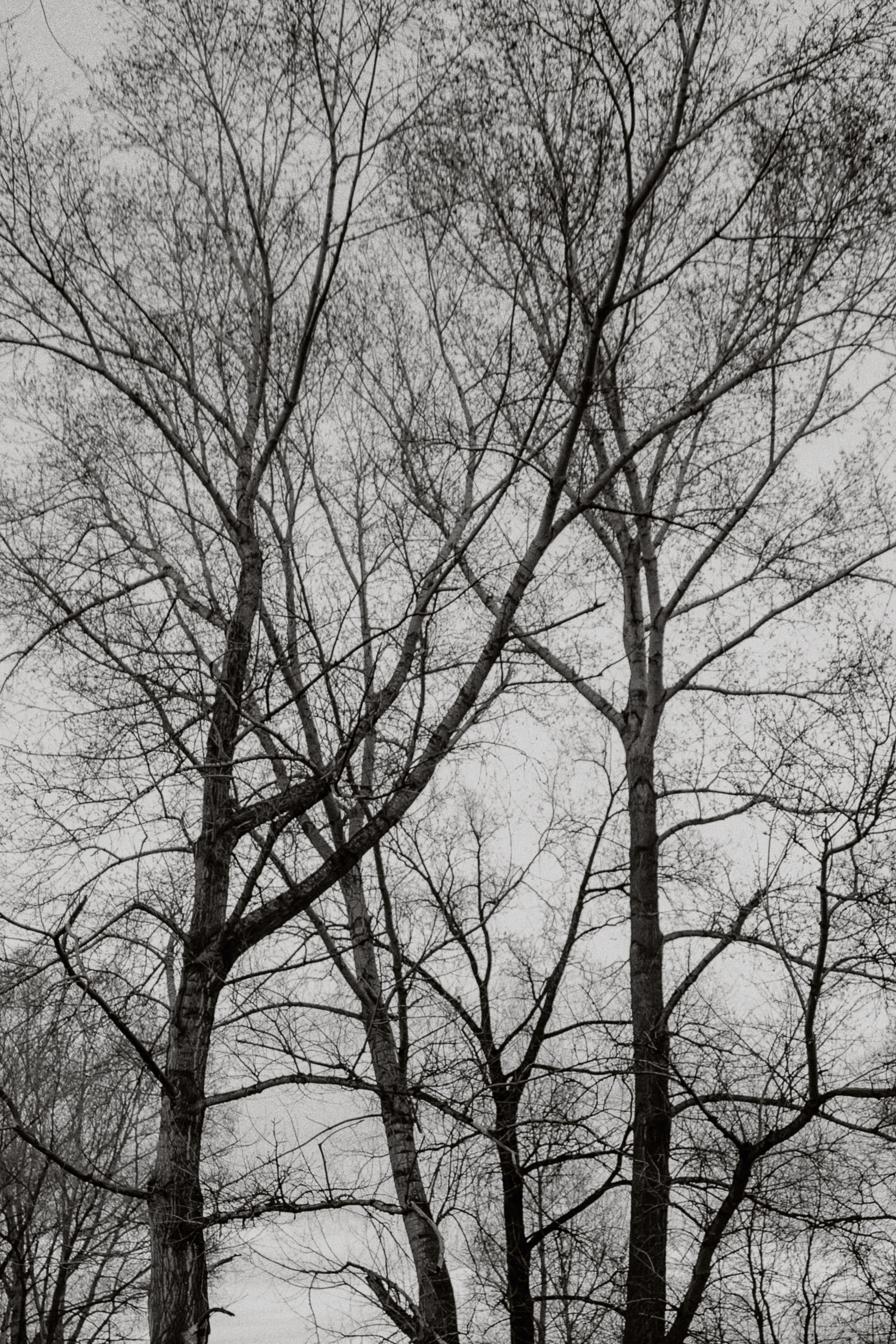 Лиза Высоцкая I Весна' 24. Фотограф Любовь Щербинина