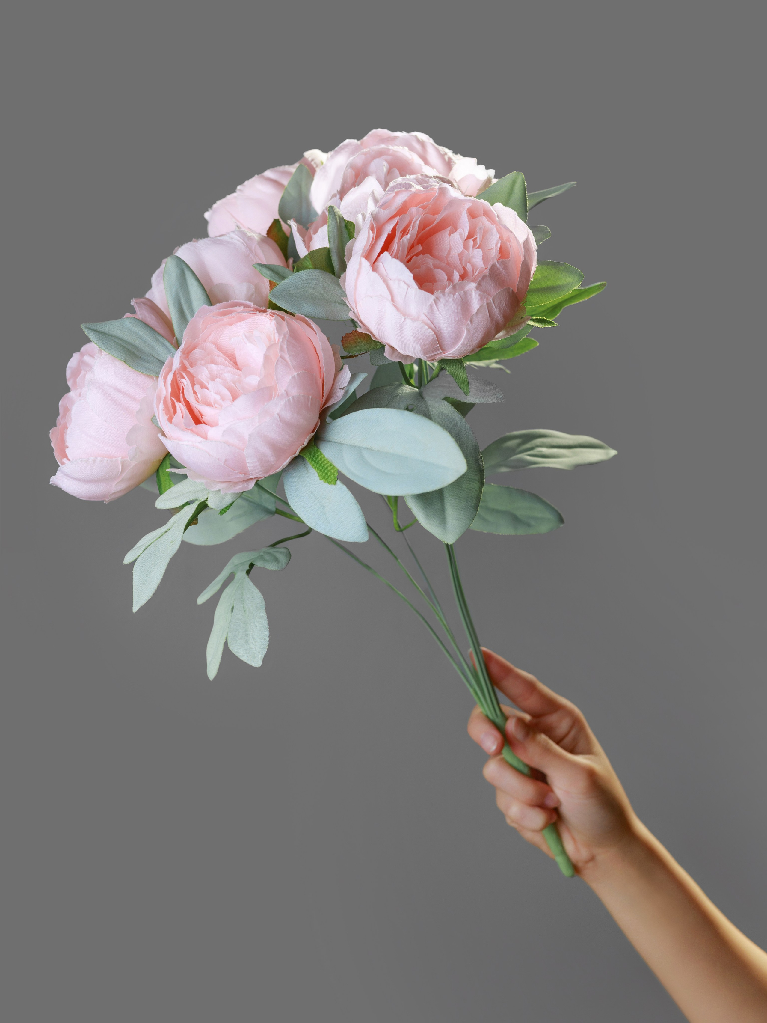 Пионы для OZON. СЕМЕЙНЫЙ И ПРЕДМЕТНЫЙ ФОТОГРАФ — ЛЕНА ГОНЧАР | КРАСНОДАР | МАЙКОП