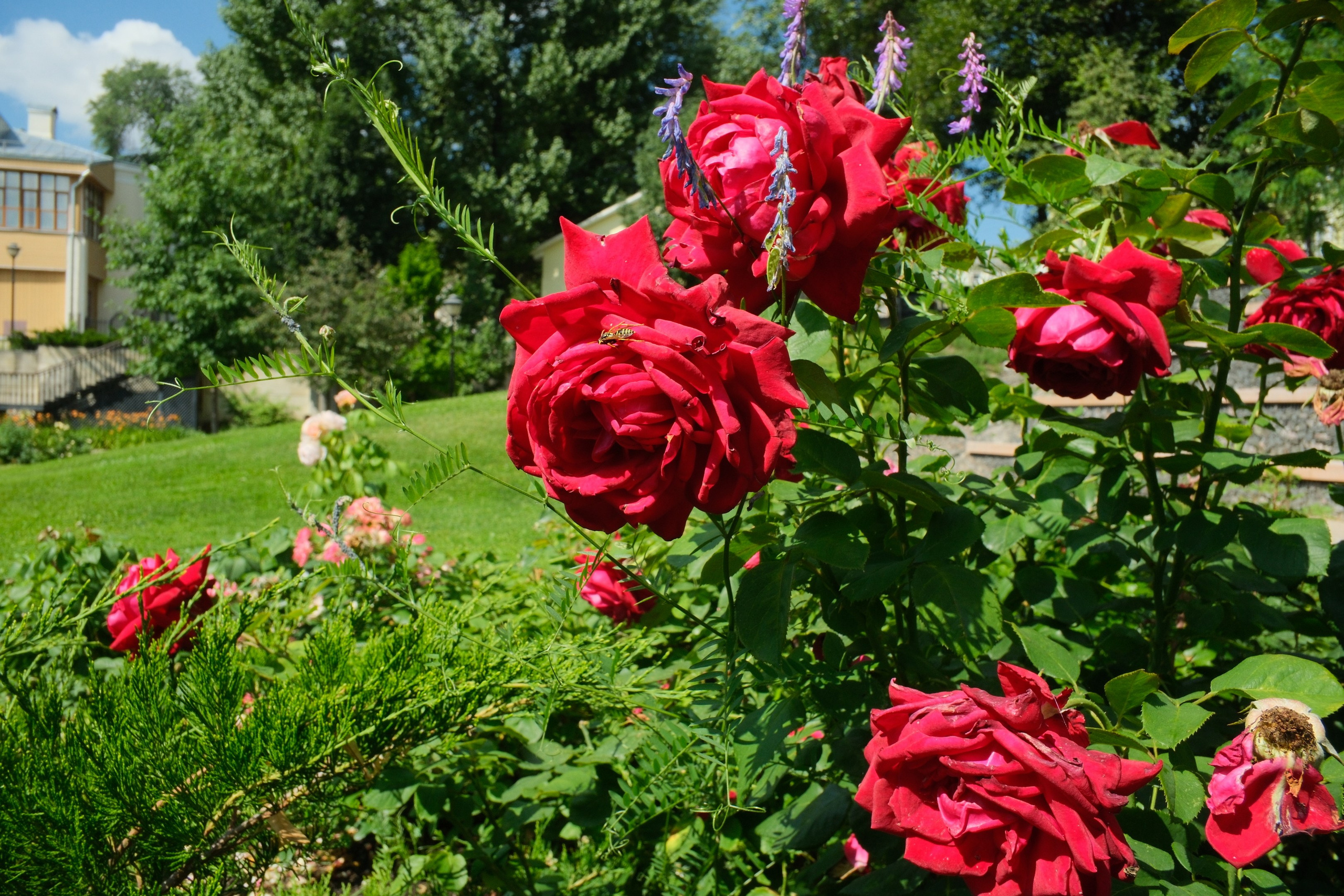 Улица, люди, жизнь…