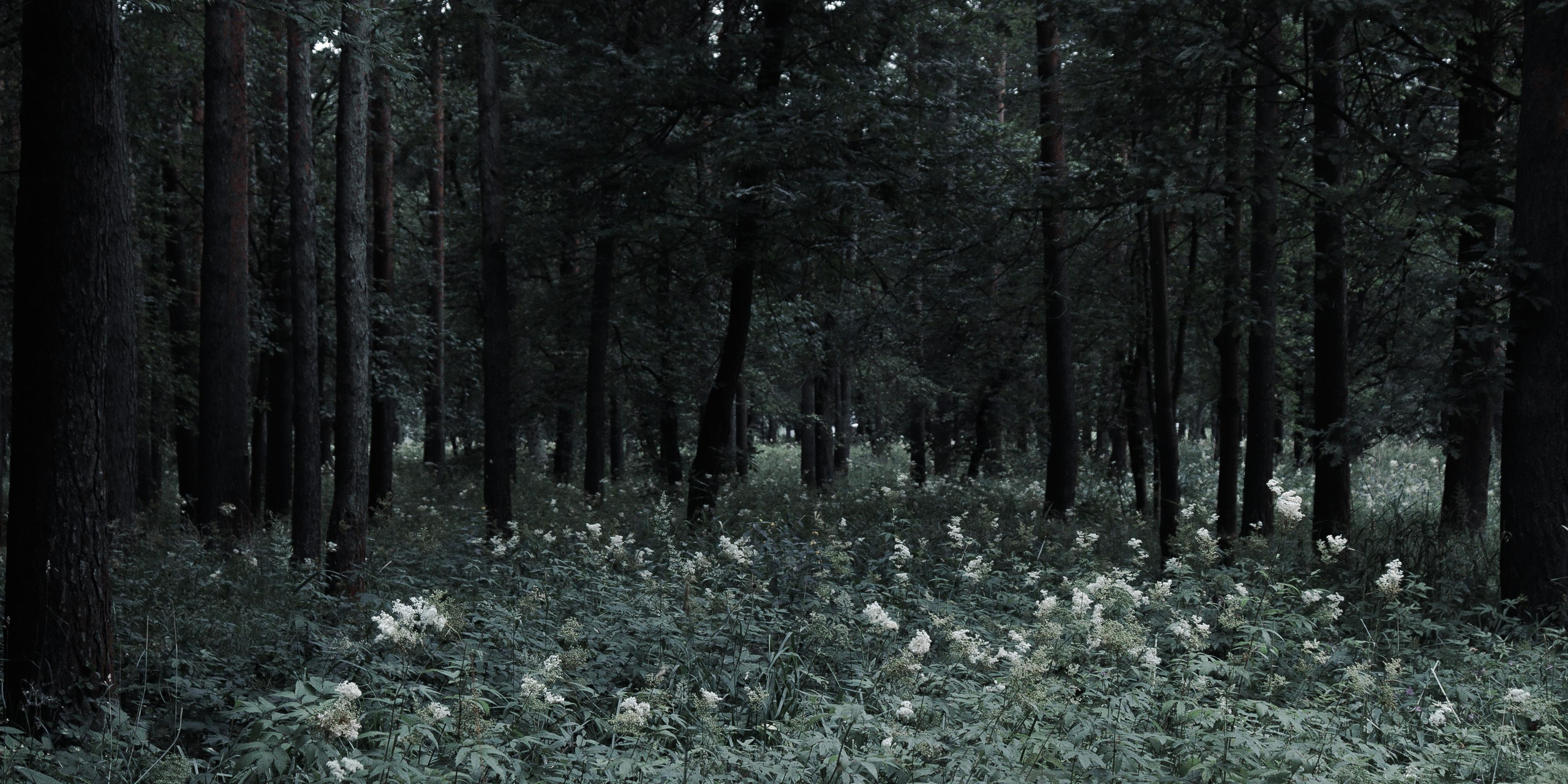 Unforgiven. Photography artist Daria Deviline / фотограф Санкт-Петербург / Казань / Москва