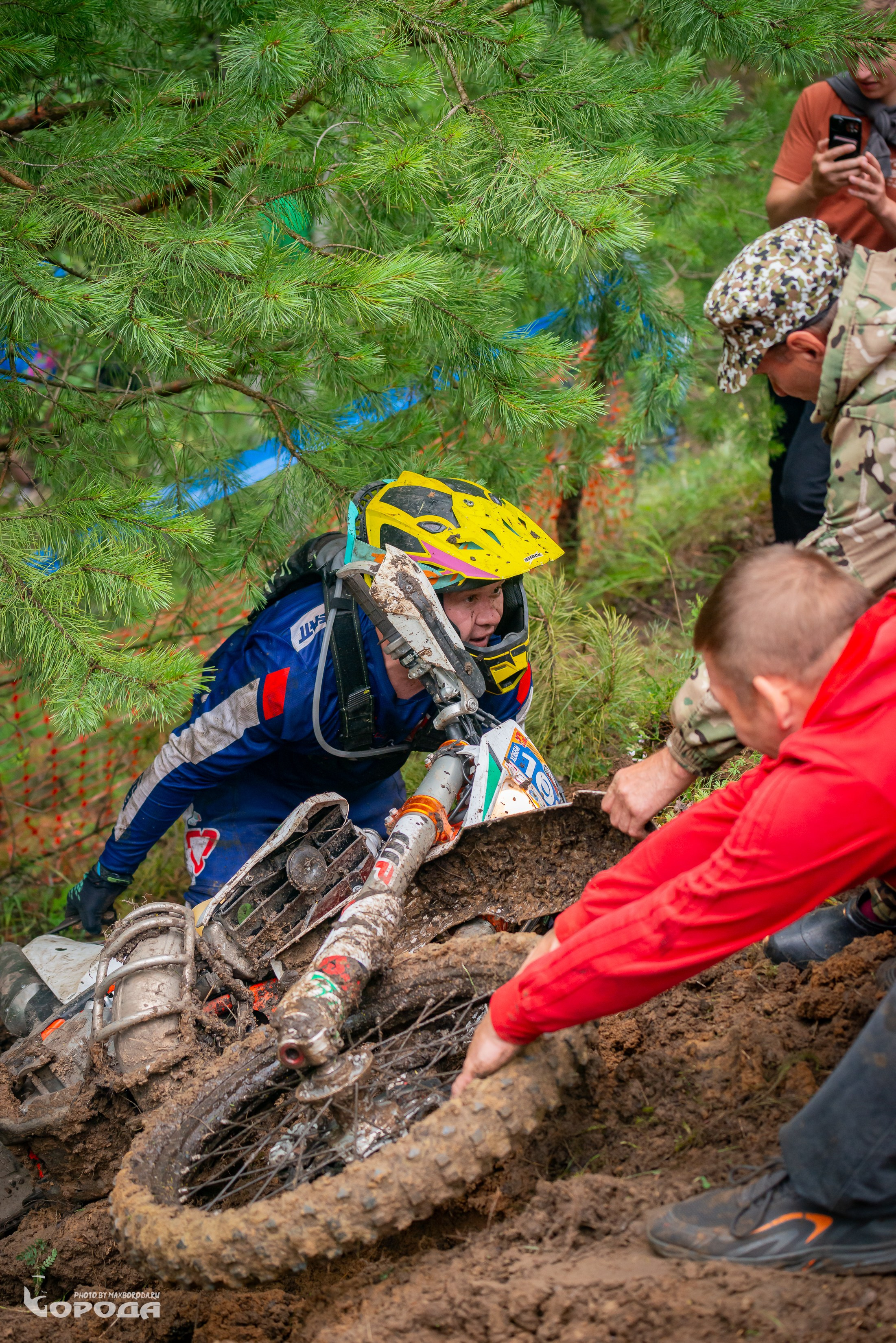 Дубрава 2025. Фотограф | Макс Борода