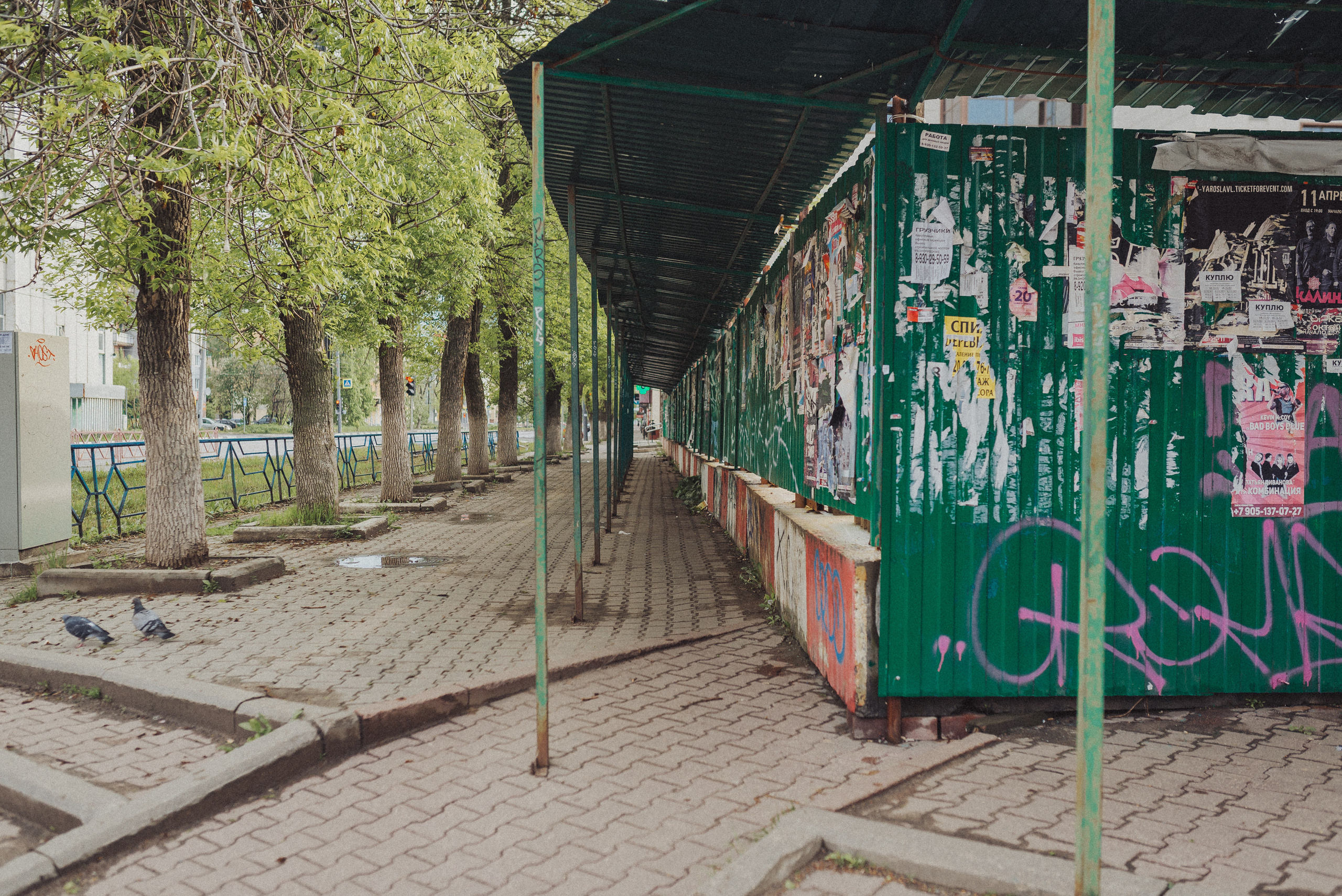 Проект #улицыгорода. Ярославль, ул. Победы. Документальный фотограф Илья Тихановский