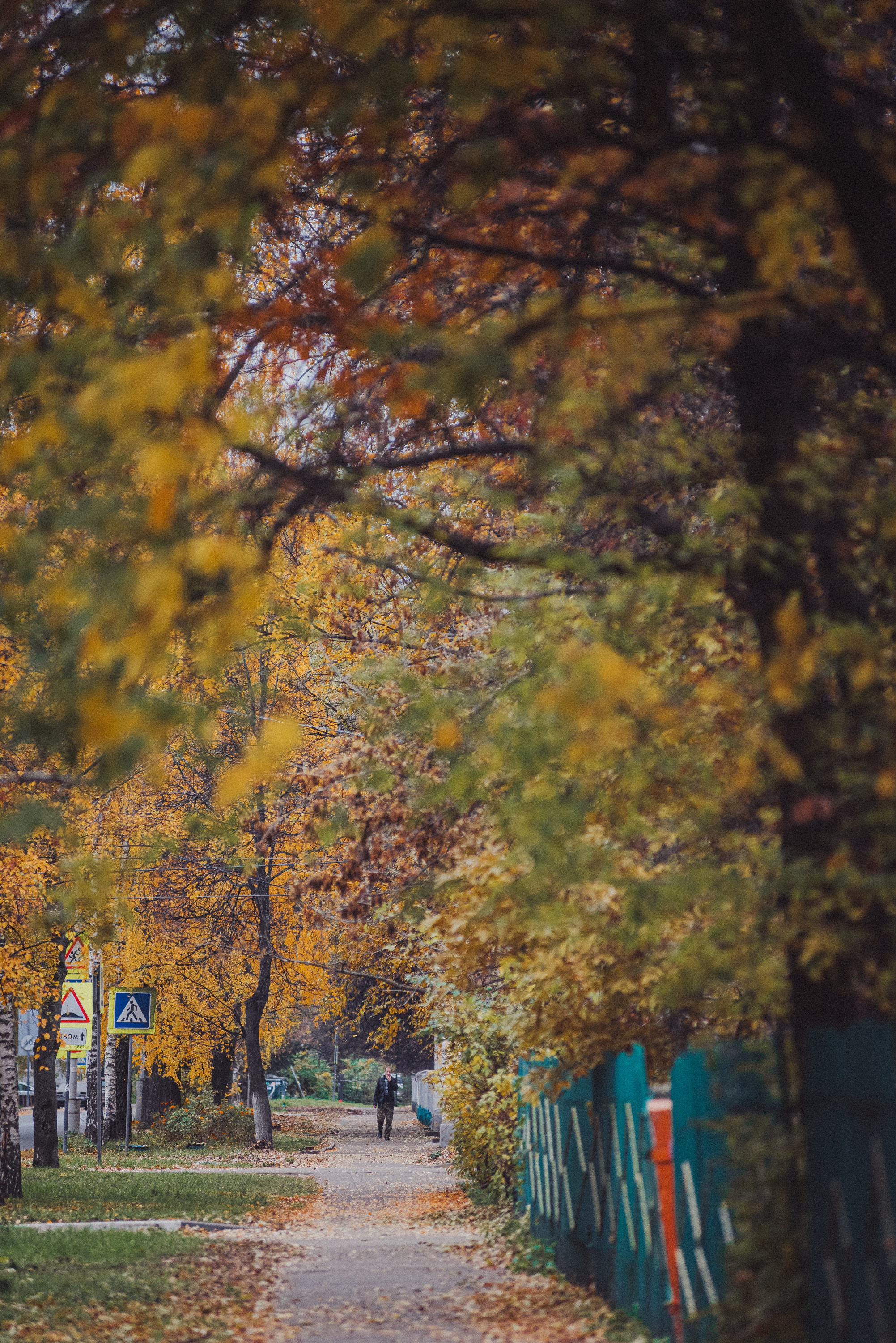 Проект #улицыгорода. Ярославль, ул. Тургенева. Документальный фотограф Илья Тихановский