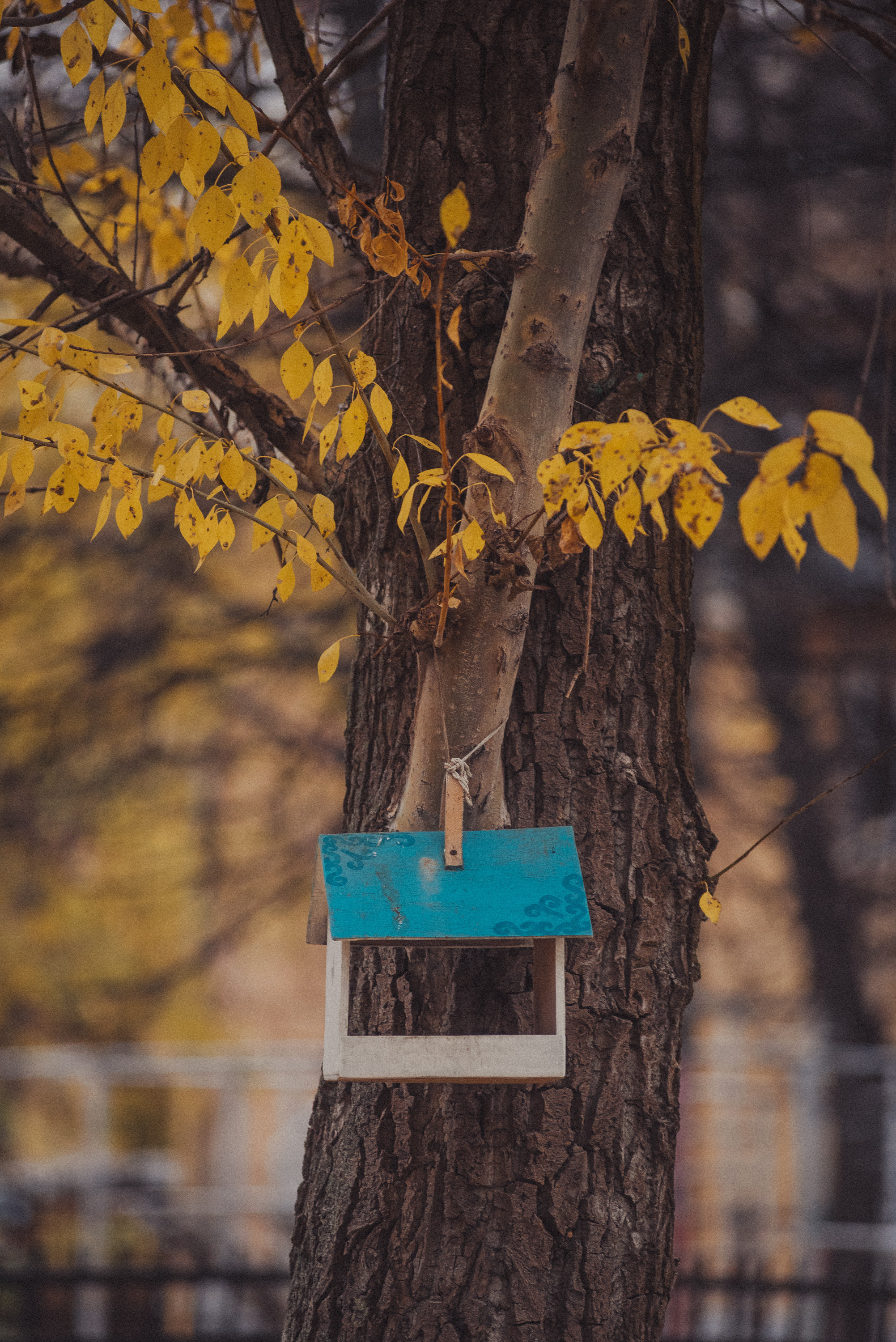 Проект #улицыгорода. Ярославль, ул. Тургенева. Документальный фотограф Илья Тихановский