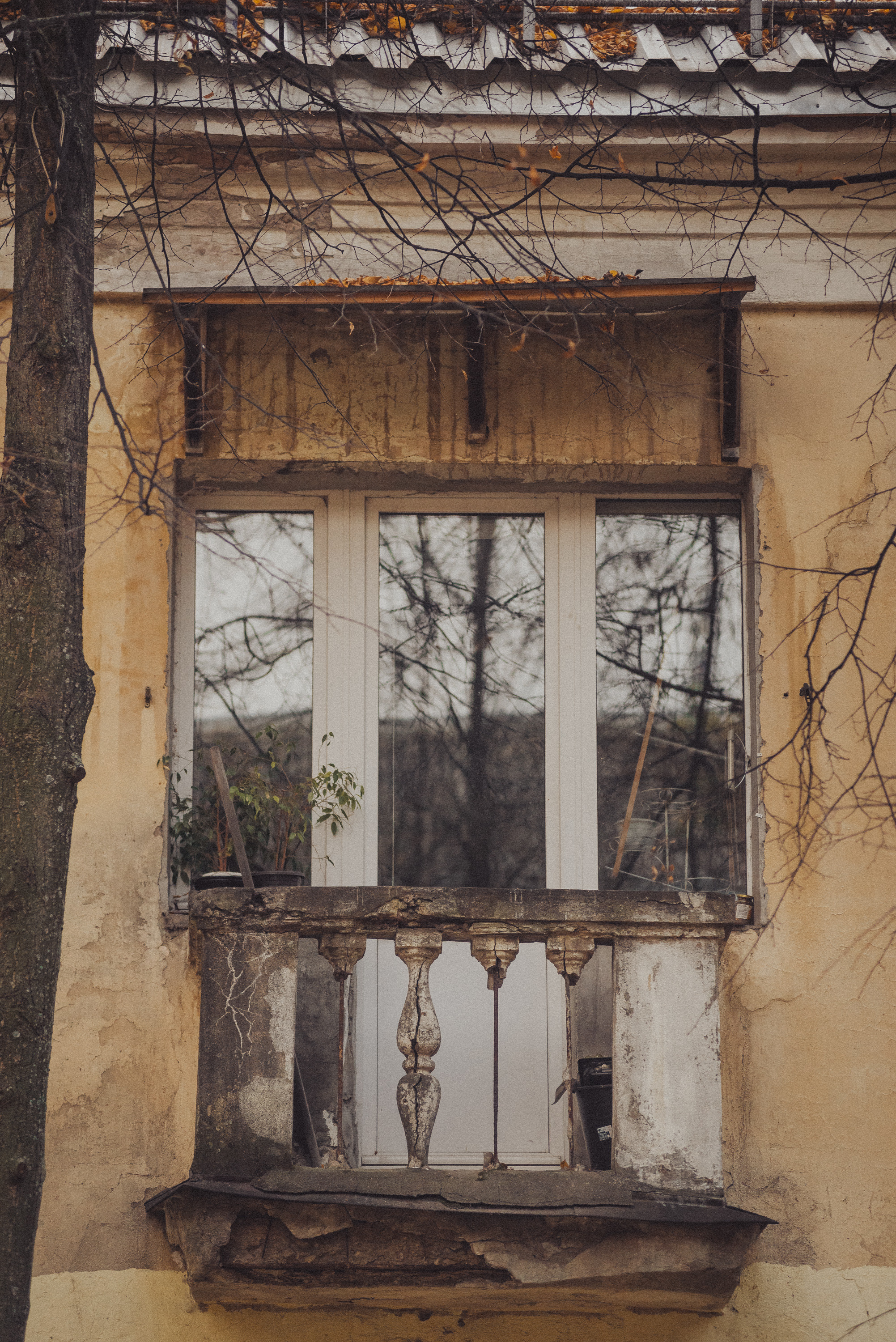 Проект #улицыгорода. Ярославль, ул. Тургенева. Документальный фотограф Илья Тихановский