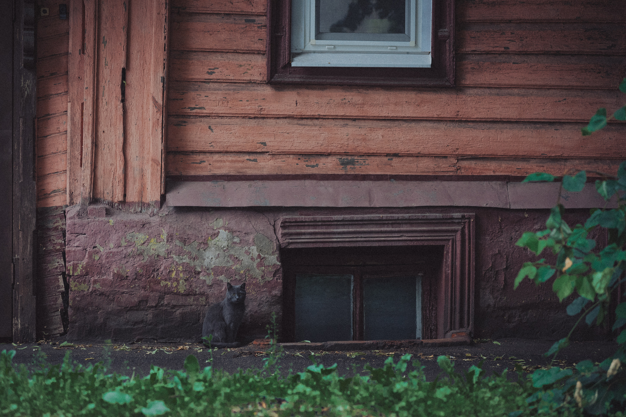 Проект #улицыгорода. Ярославль, ул. Некрасова. Документальный фотограф Илья Тихановский