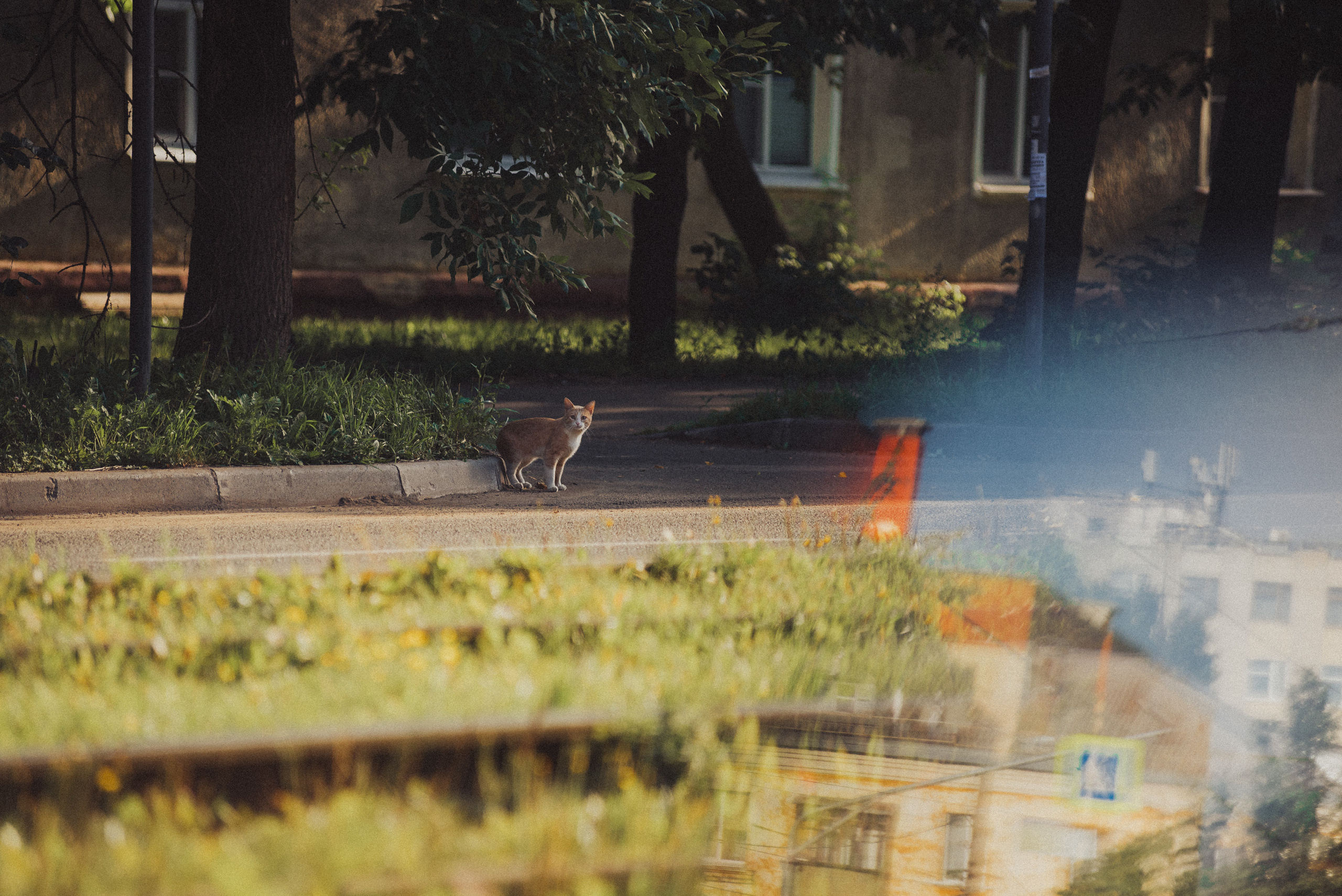 Проект #улицыгорода. Ярославль, ул. Чкалова. Документальный фотограф Илья Тихановский