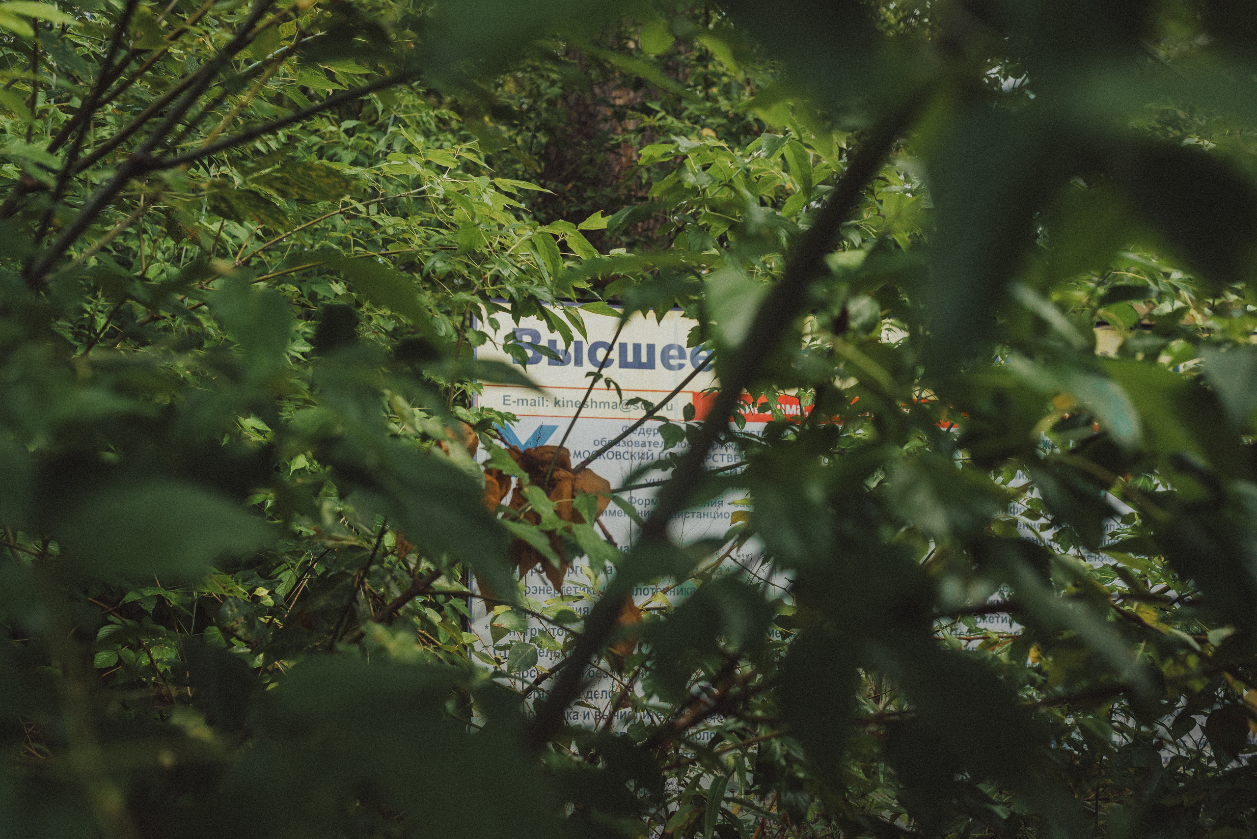 Проект «На улице Ленина». Кинешма, ул. Ленина. Документальный фотограф Илья Тихановский