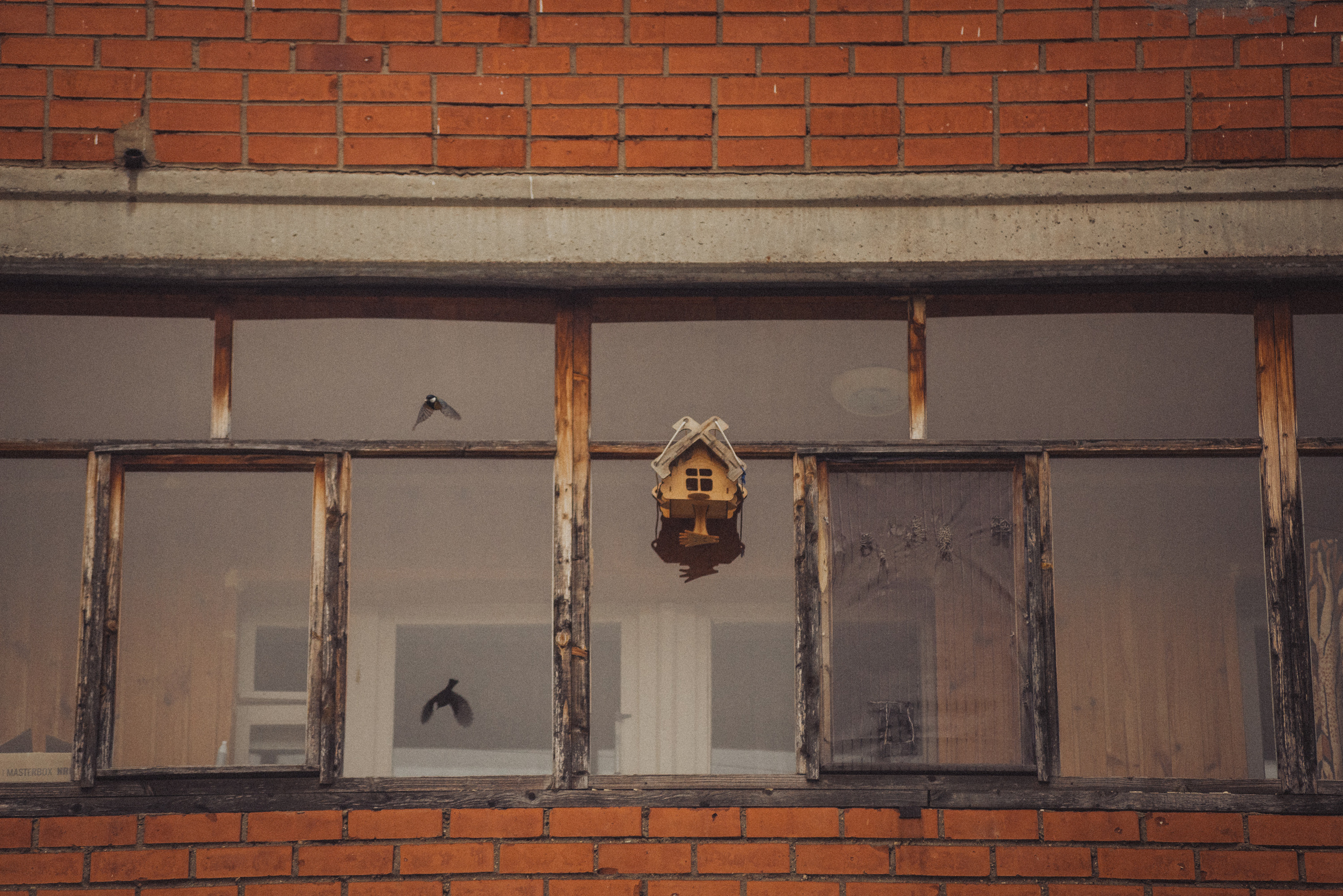 Проект #улицыгорода. Ярославль, ул. Тургенева. Документальный фотограф Илья Тихановский