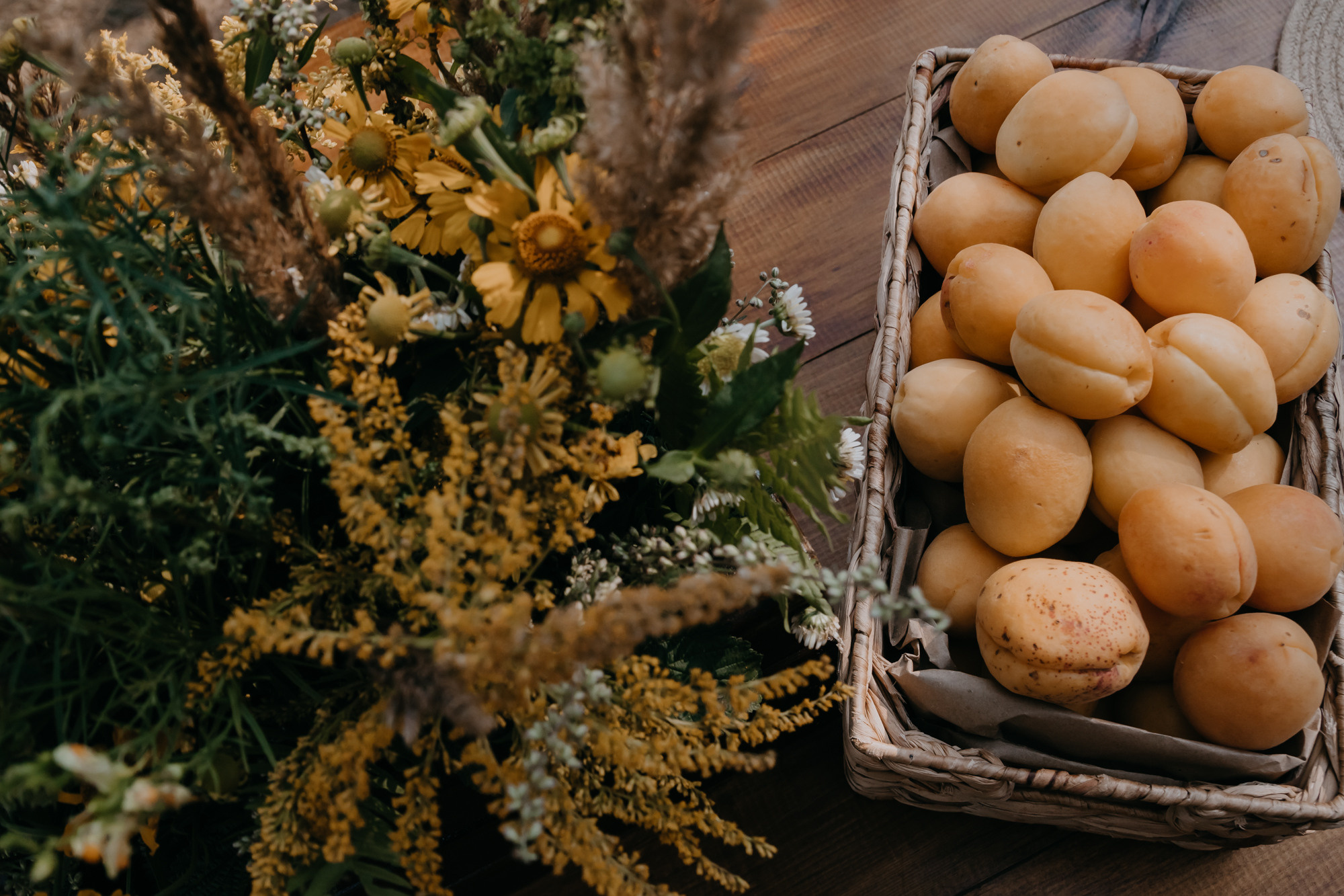 ПРАЗДНИК НА БЕРЕГУ РЕКИ. Фотограф ваших событий