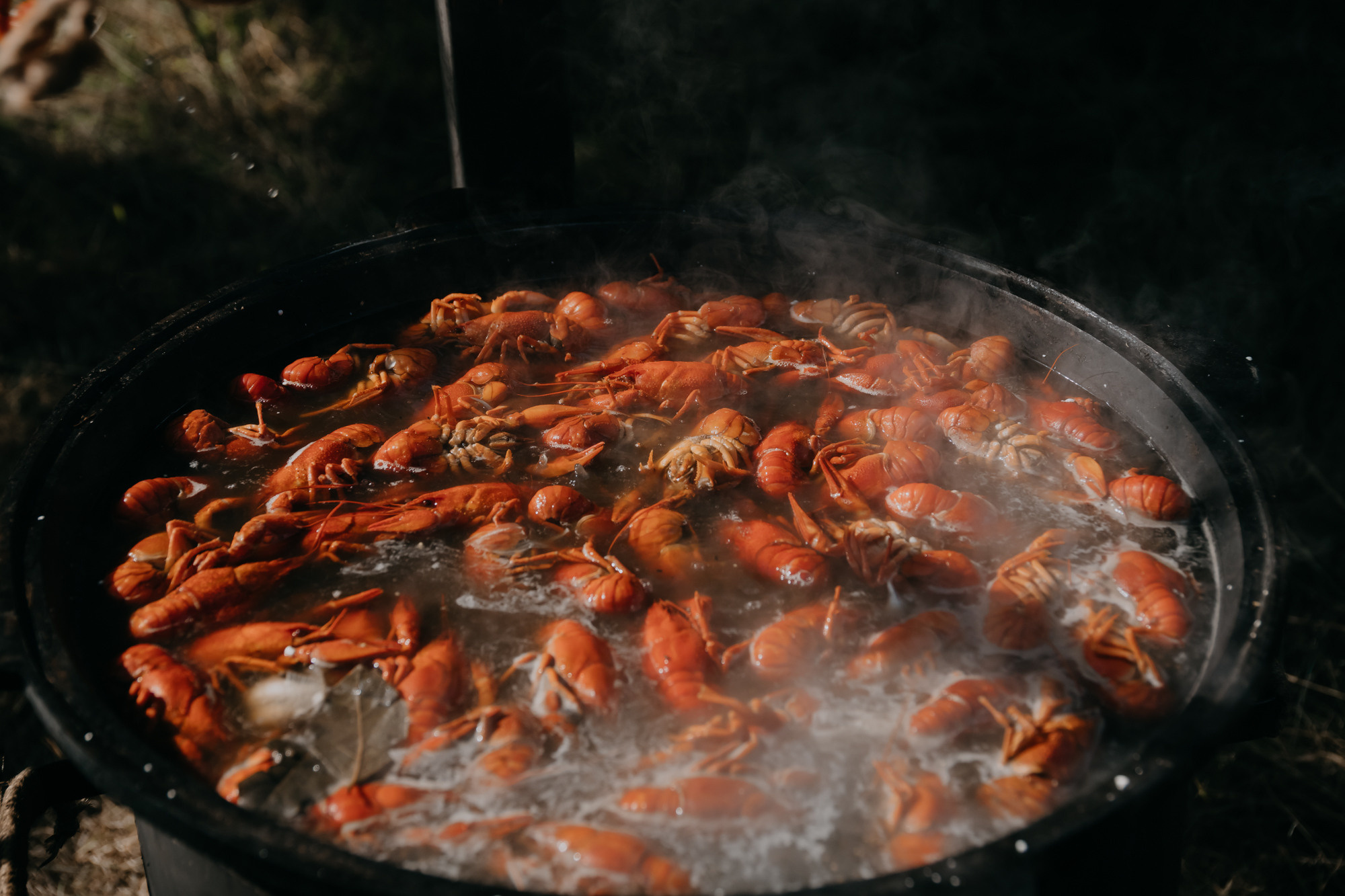 ПРАЗДНИК НА БЕРЕГУ РЕКИ. Фотограф ваших событий
