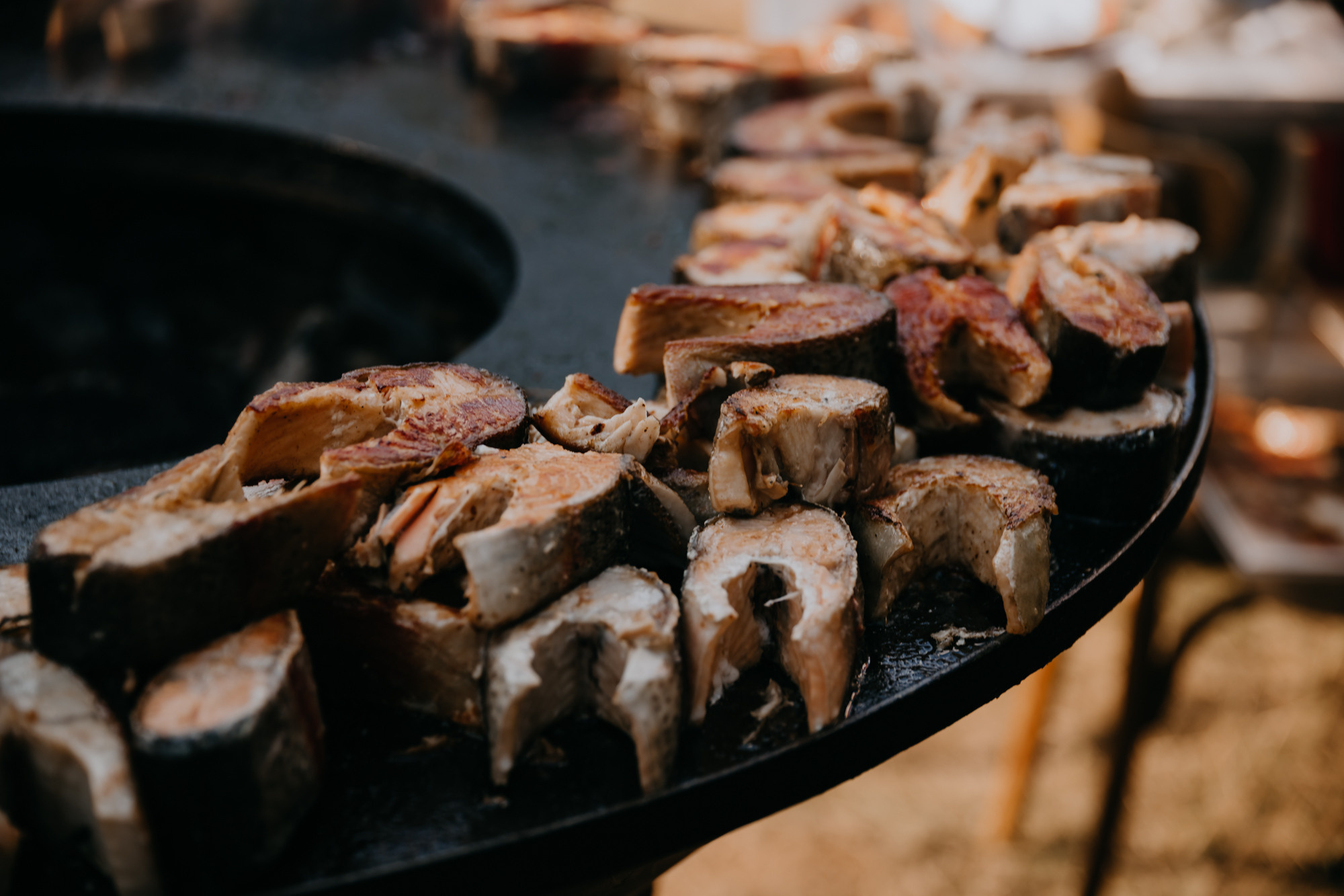 ПРАЗДНИК НА БЕРЕГУ РЕКИ. Фотограф ваших событий