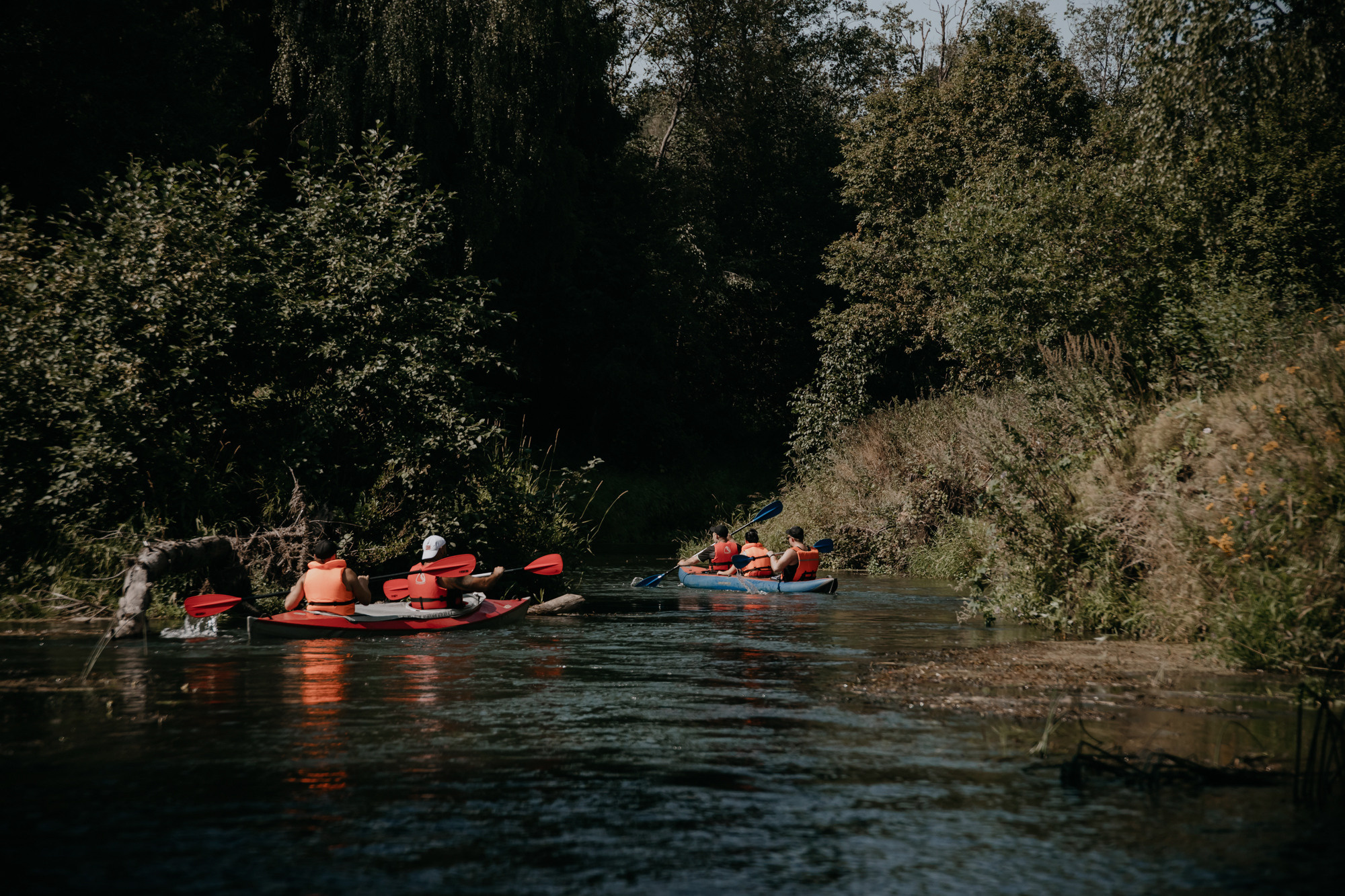 ПРАЗДНИК НА БЕРЕГУ РЕКИ. Фотограф ваших событий