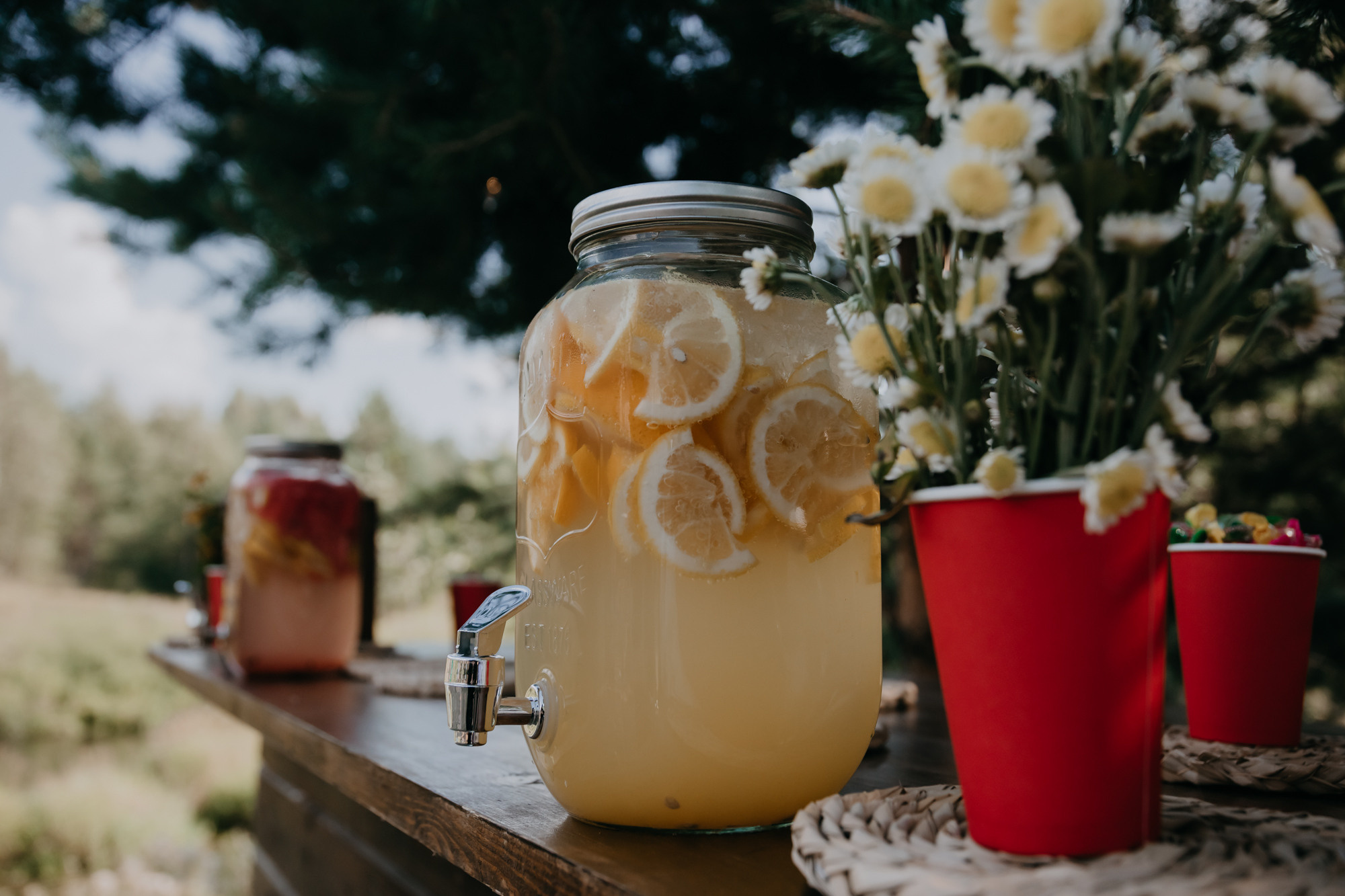 ПРАЗДНИК НА БЕРЕГУ РЕКИ. Фотограф ваших событий