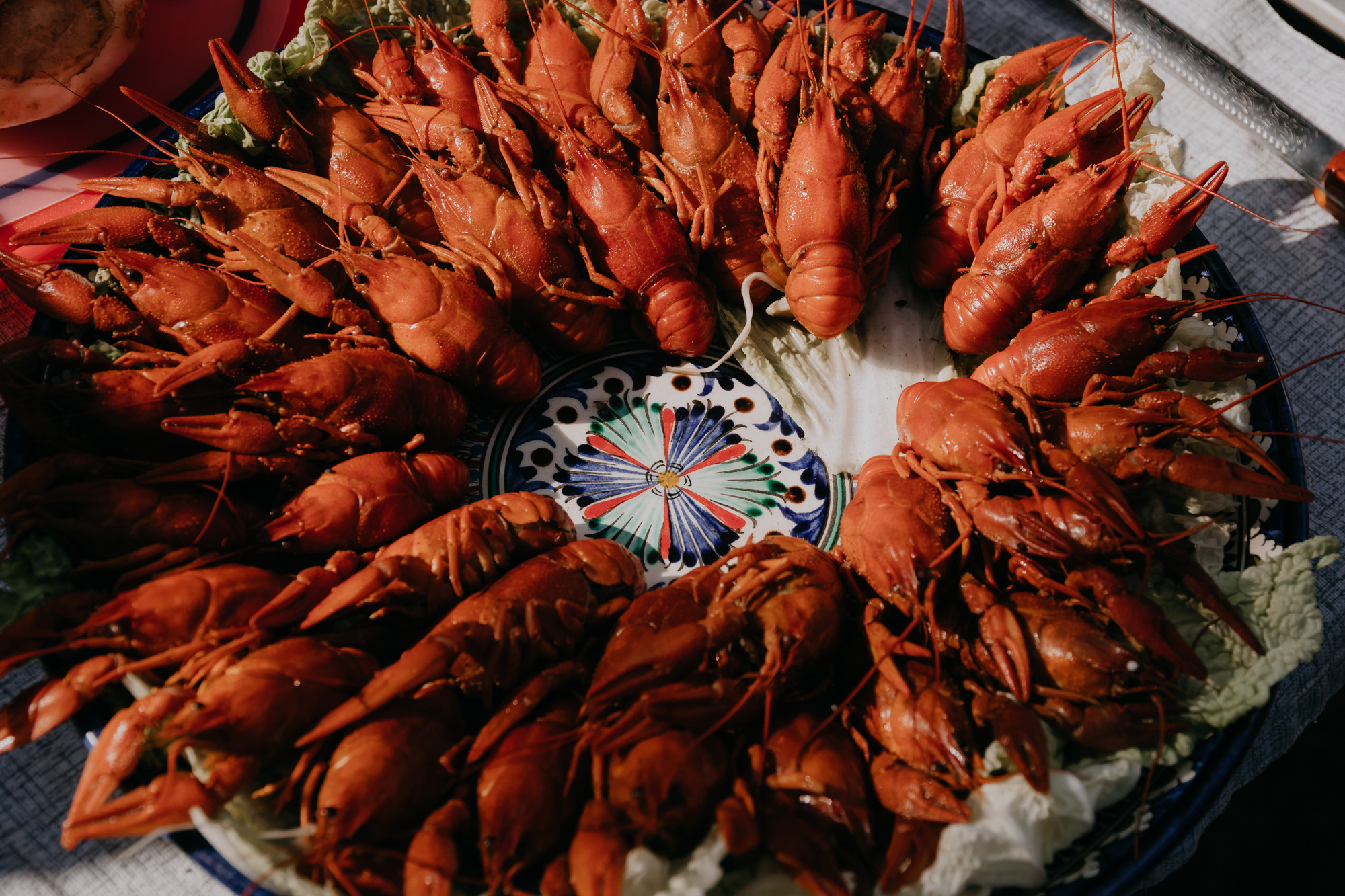 ПРАЗДНИК НА БЕРЕГУ РЕКИ. Фотограф ваших событий