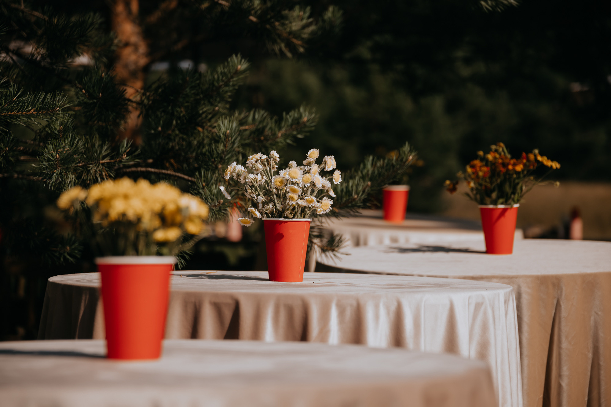 ПРАЗДНИК НА БЕРЕГУ РЕКИ. Фотограф ваших событий