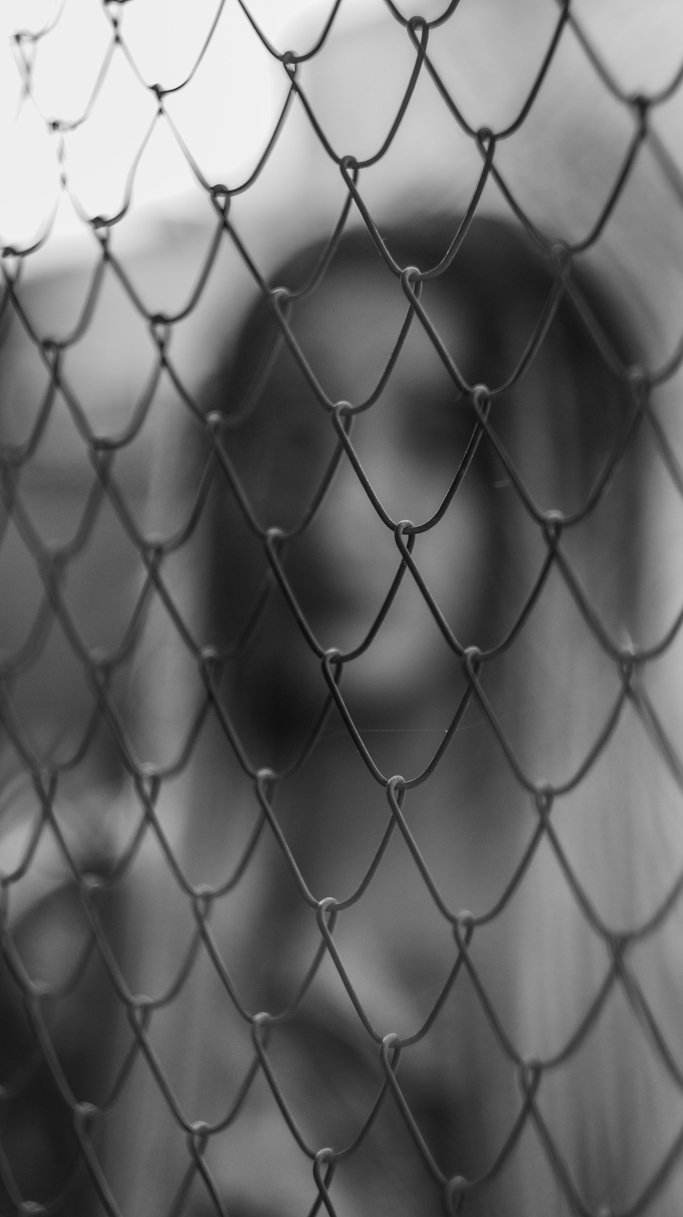 Александра. Профессиональный фотограф