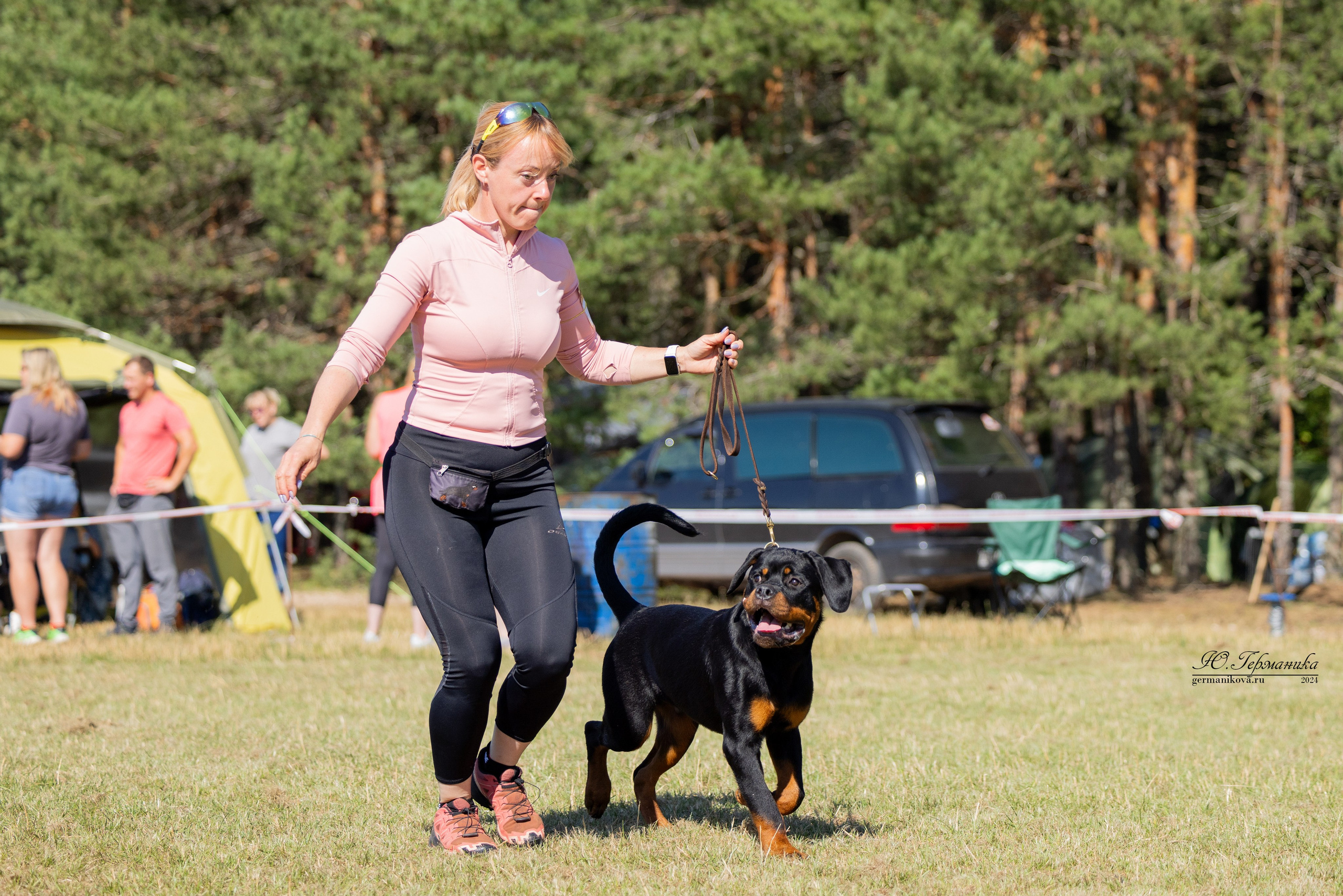 ПК и КЧК ротвейлеры Тверь 6-7.07.2024. Фотограф-анималист Юлия Германика
