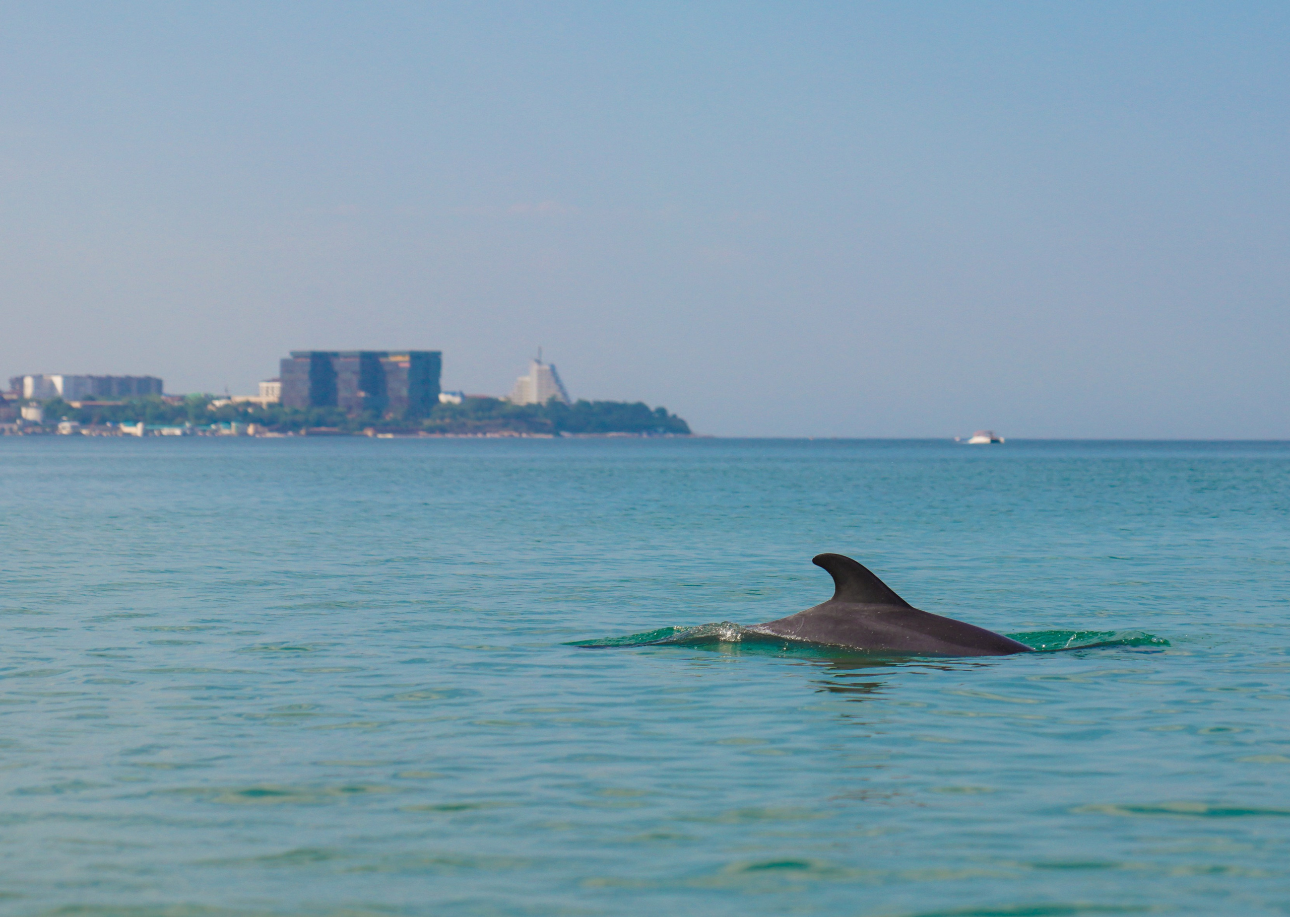 Анапа. Фотограф Сергей Кишкель Дананг Нячанг Фукуок