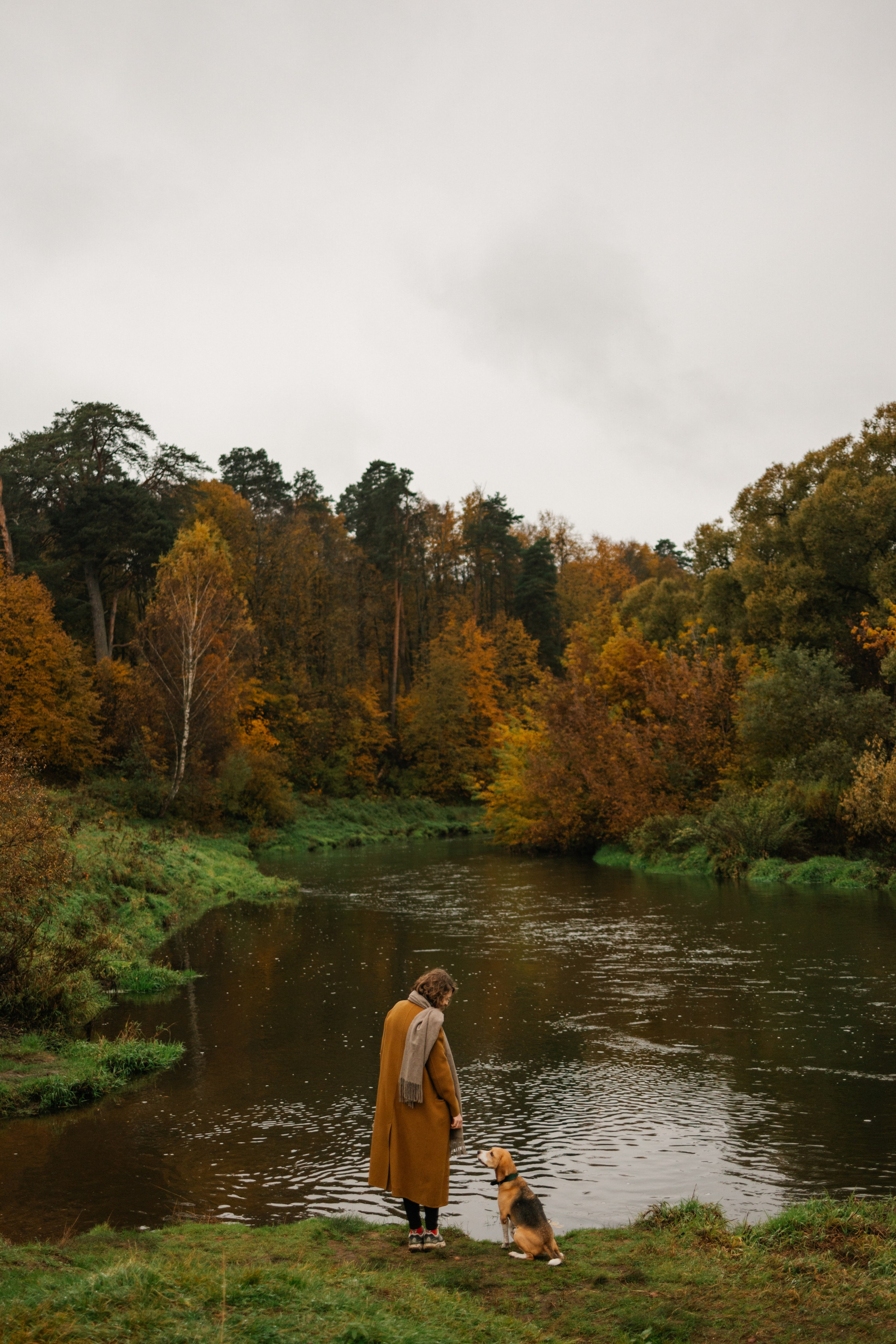 Лена и Тайгер. Фотограф — Анималист | Санкт-Петербург