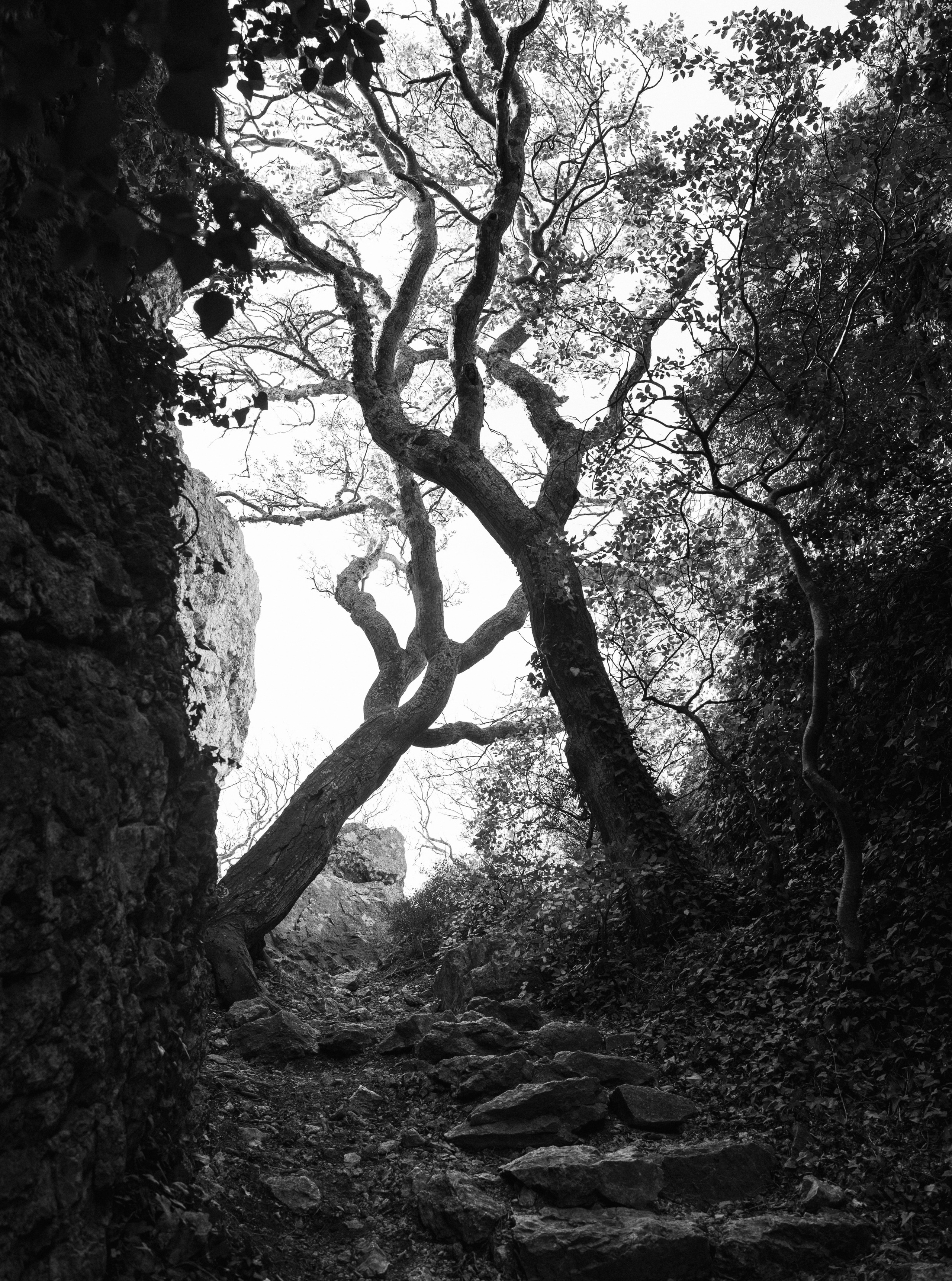Nature. Артем Корнев Фотограф