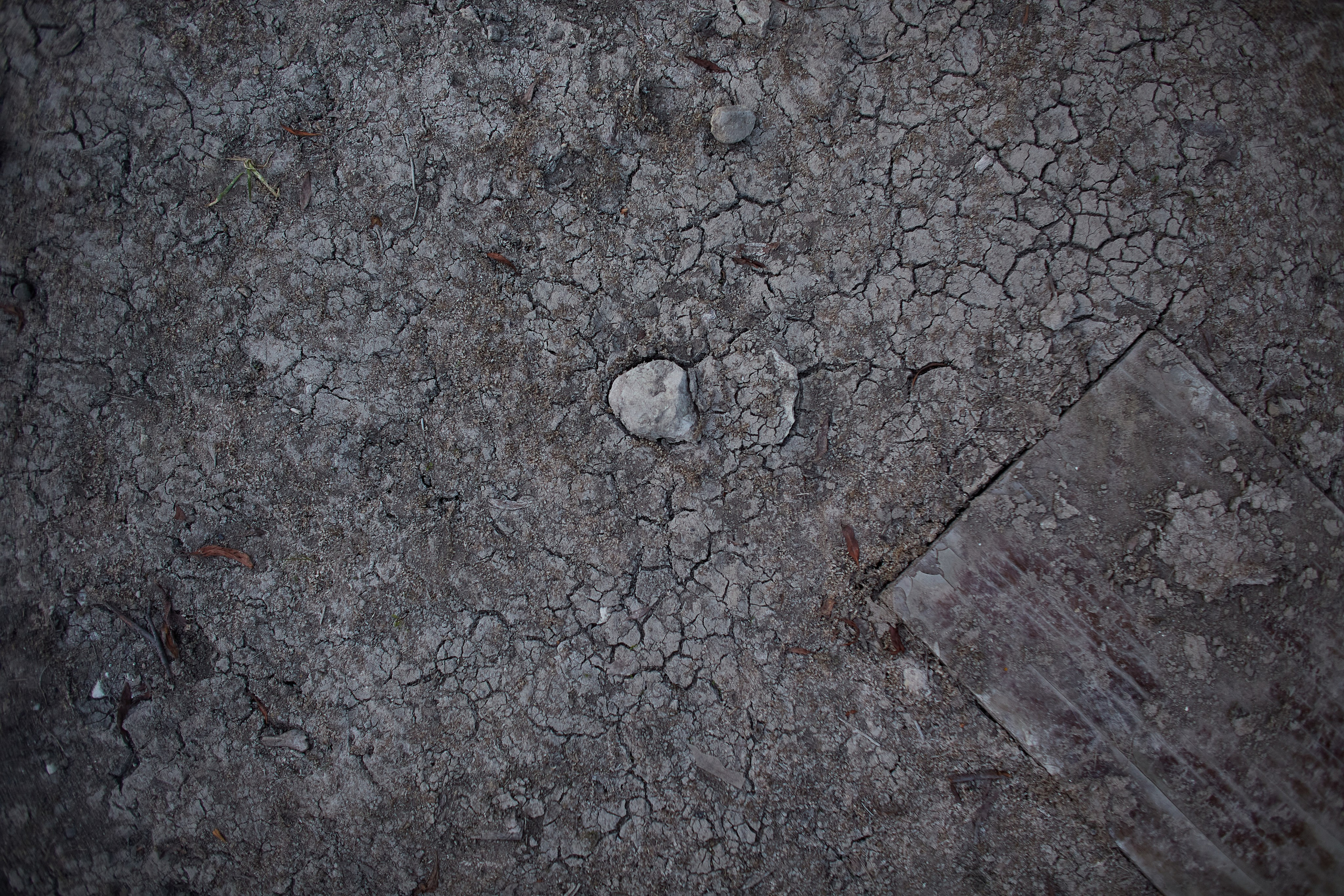 Егор, Маша, Боня