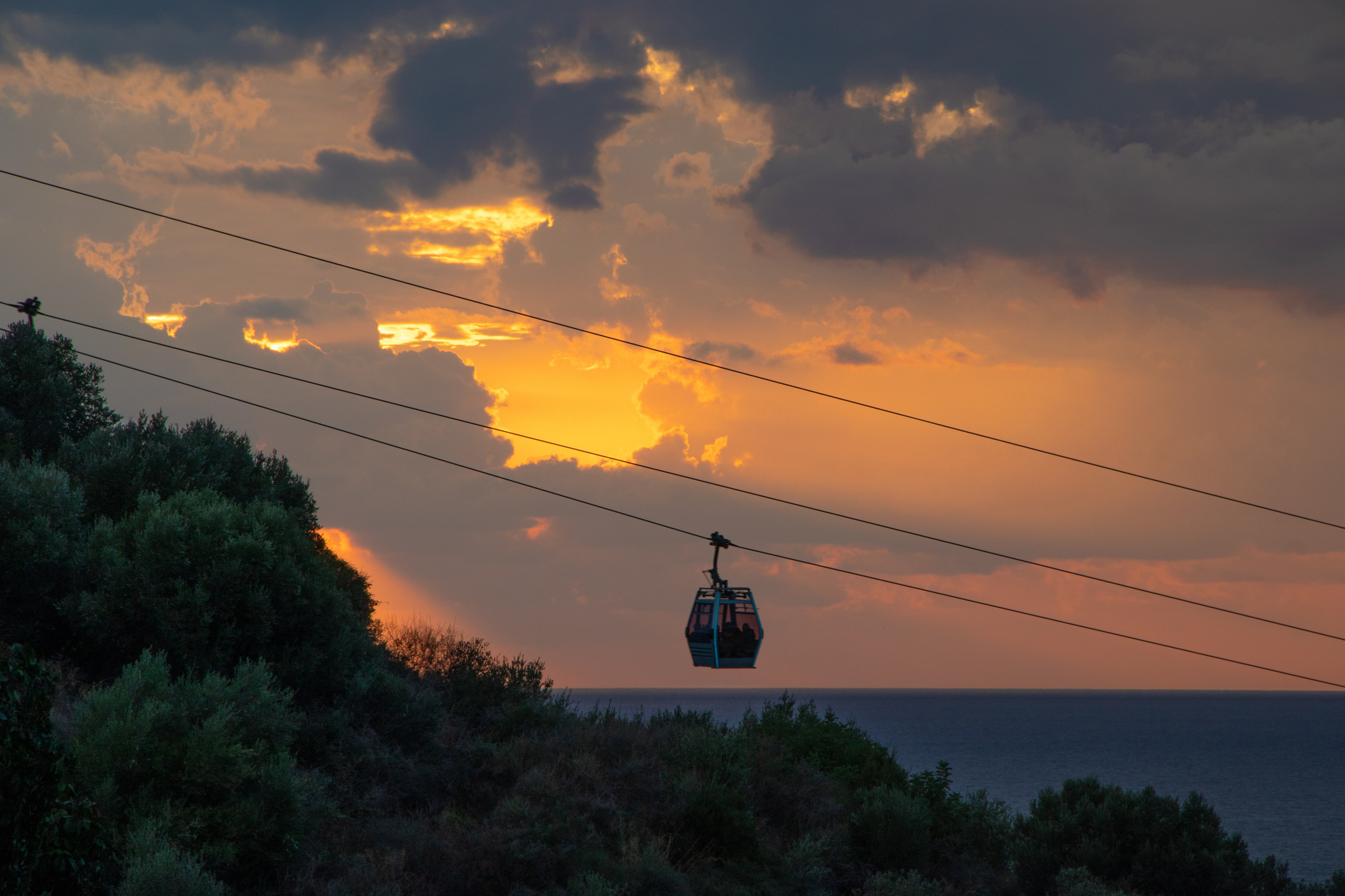 Nature. Фотограф/Видеограф