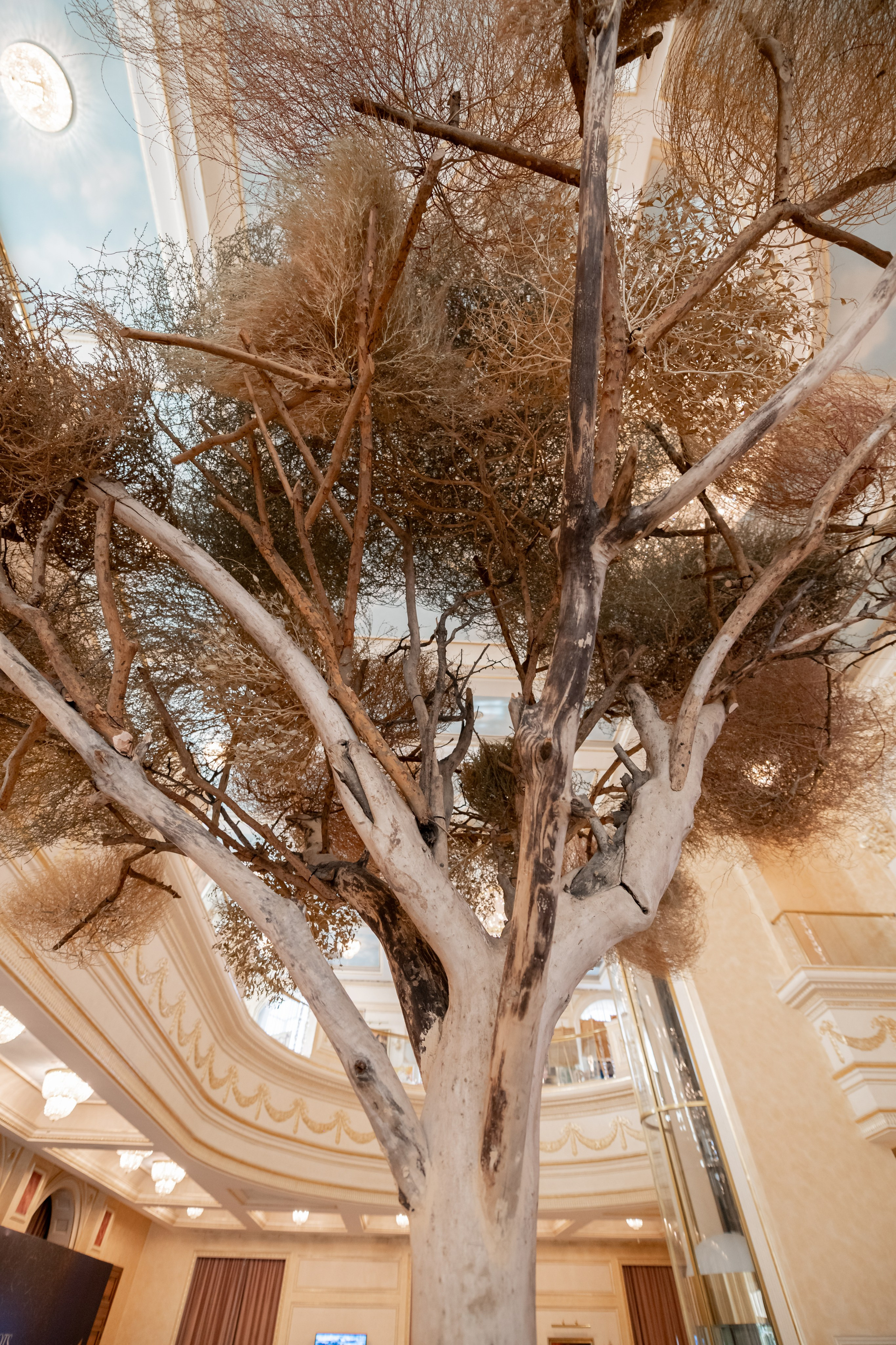 Tanu Creative 16.10.2025. Фотограф Астана, Алматы