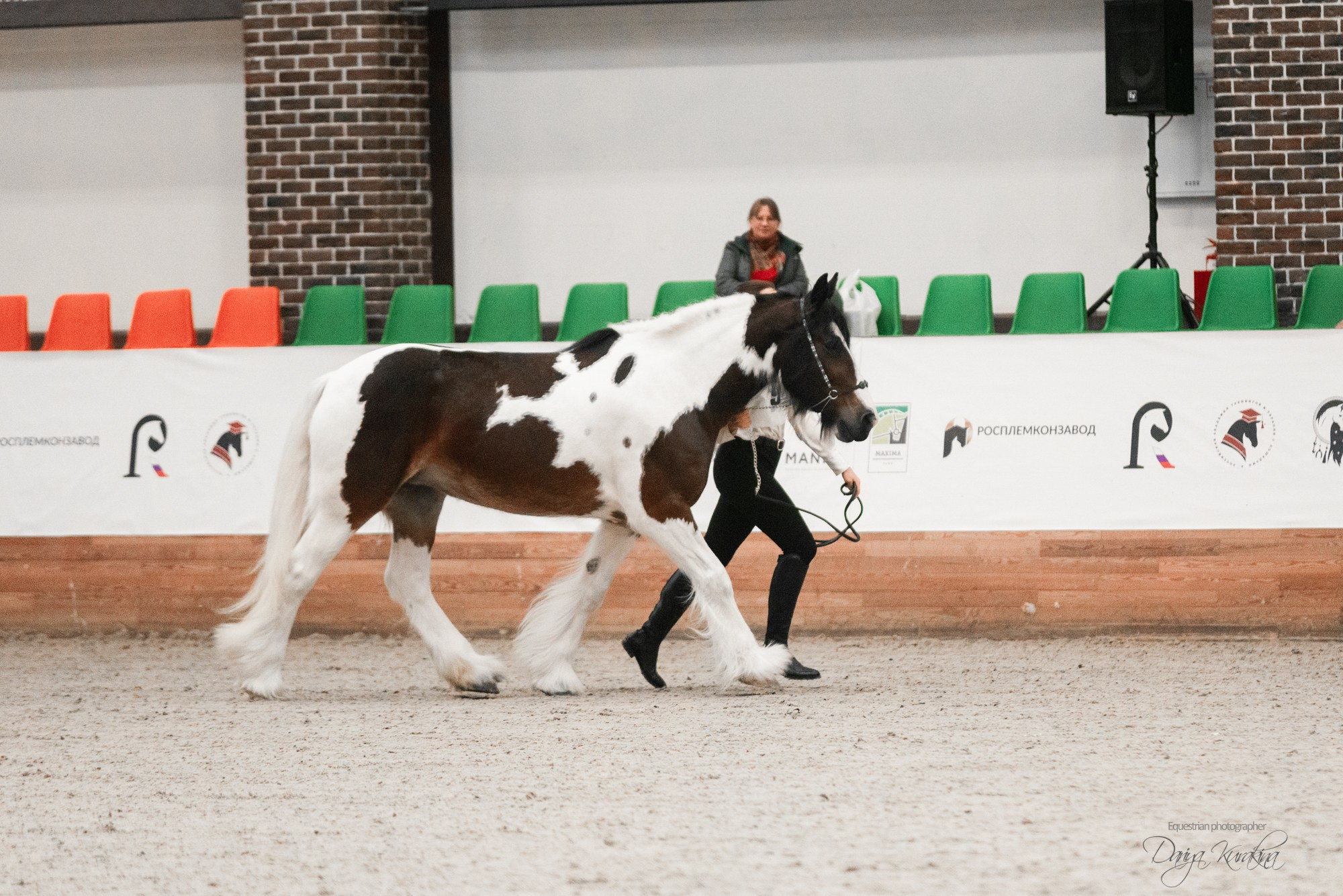8-я международная выставка Конная Россия. Конный фотограф Куракина Дарья • Фотосессии с лошадьми